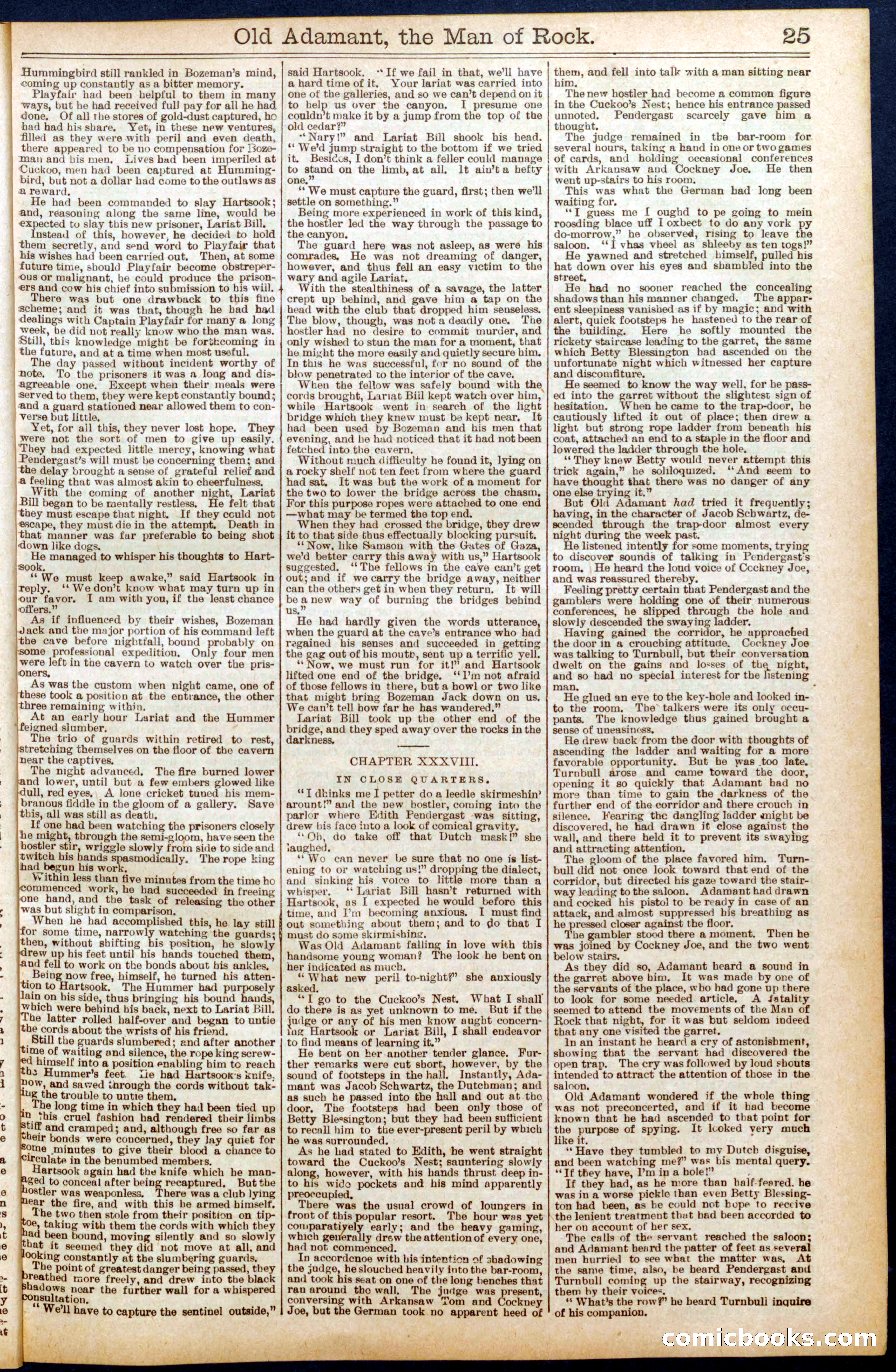 Beadle's Dime Library No. 666 — page 25 of 32
