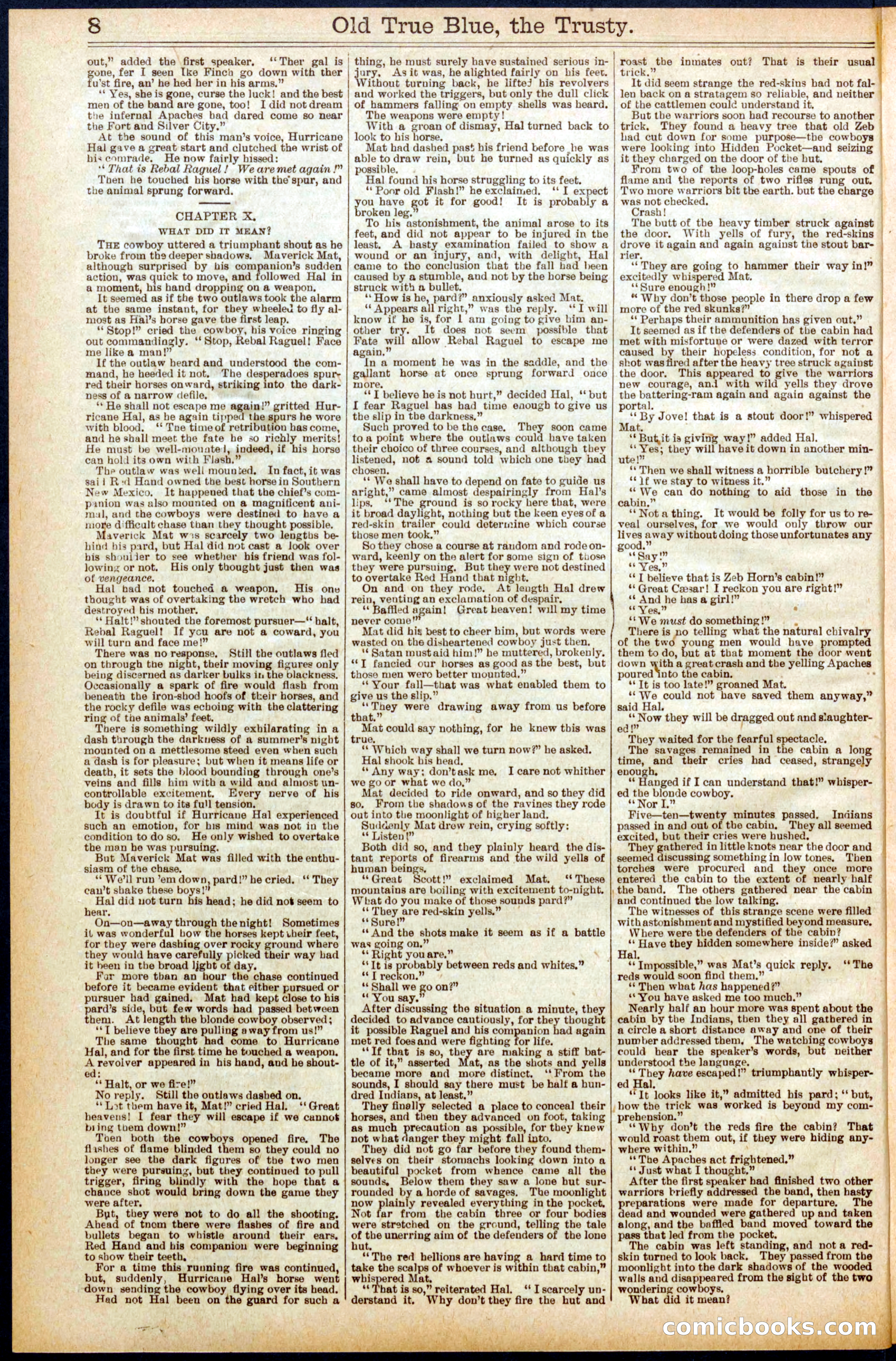 Beadle's New York Dime Library, No. 669 — page 8 of 32