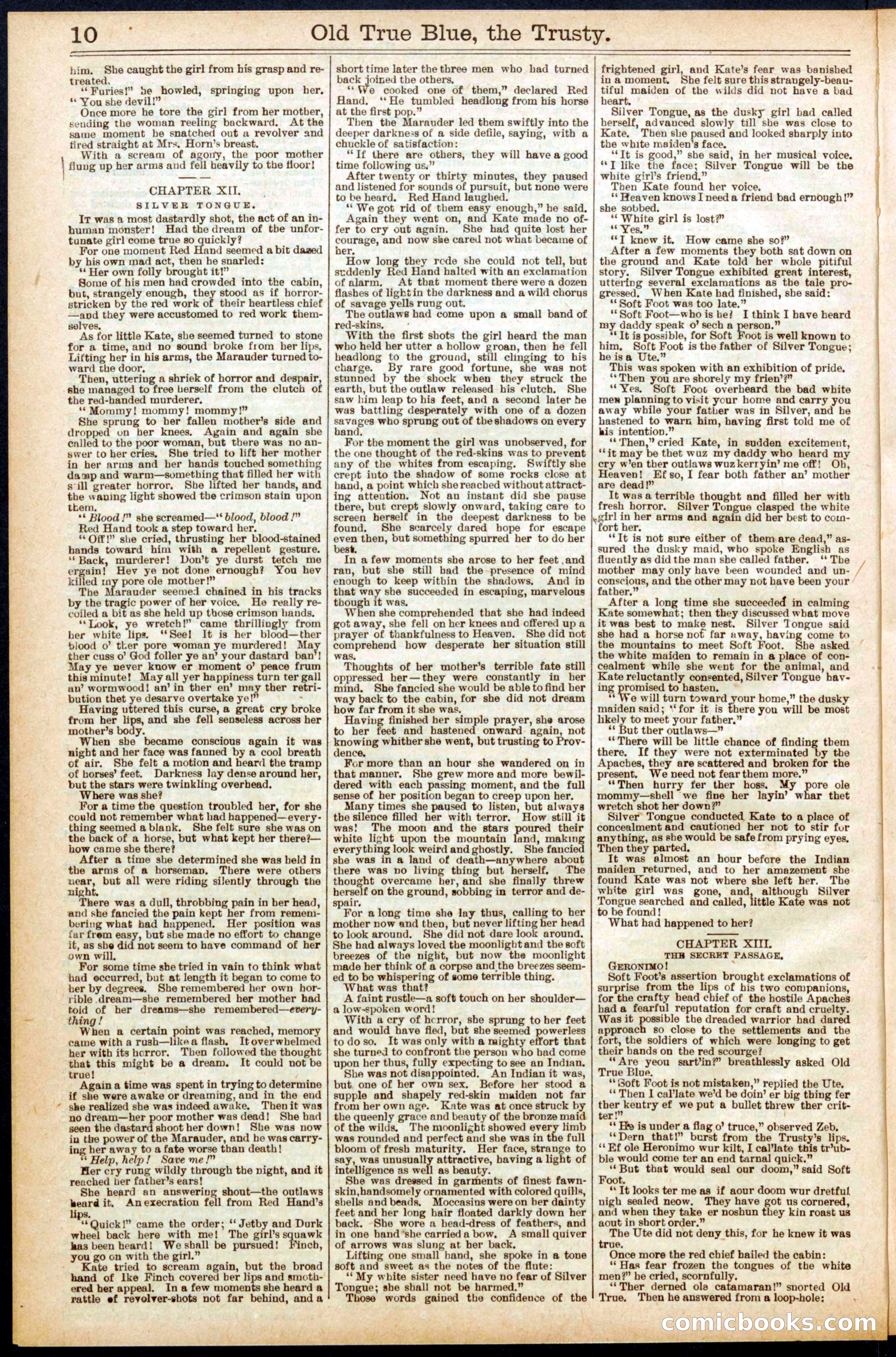 Beadle's New York Dime Library, No. 669 — page 10 of 32
