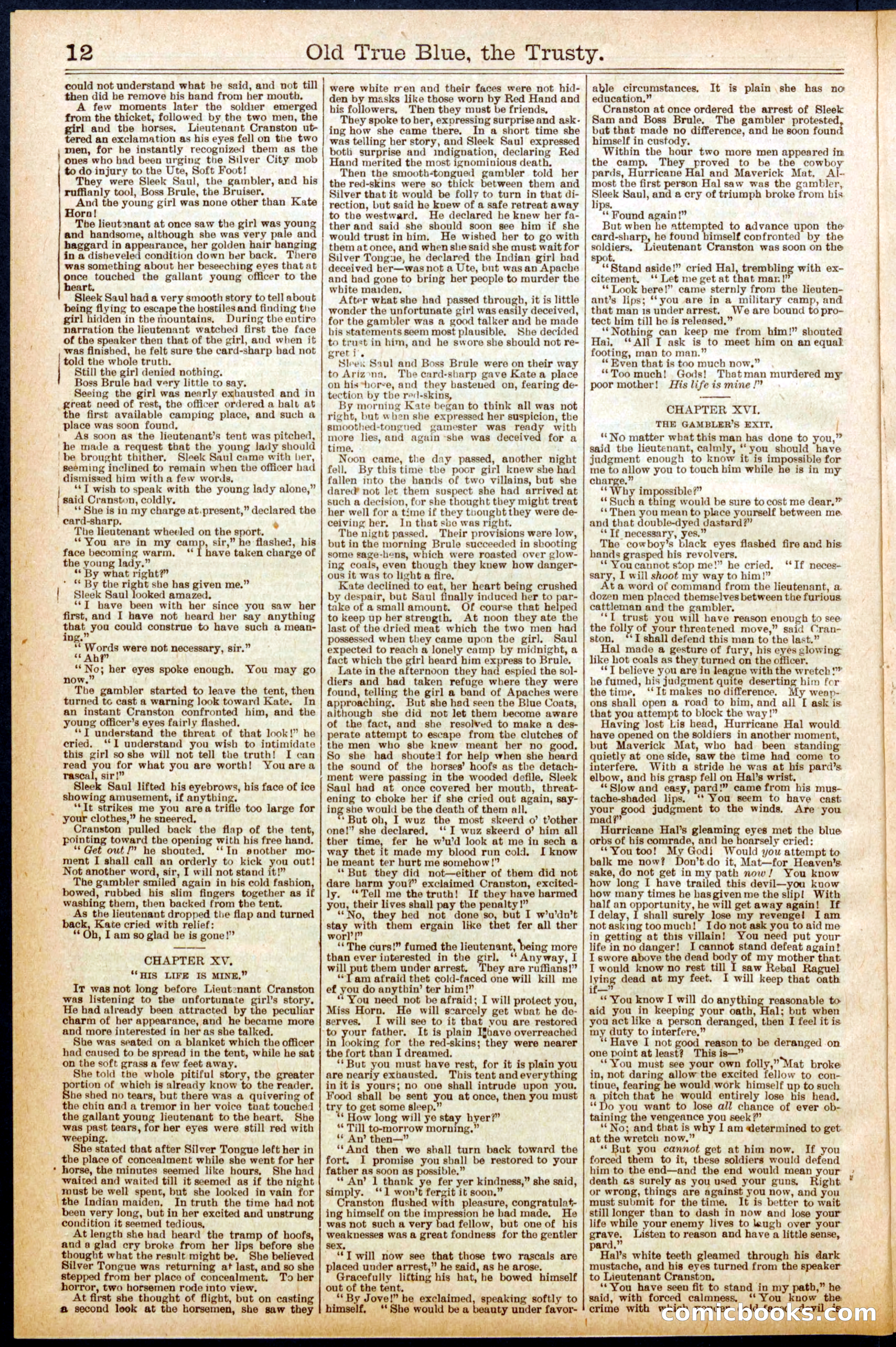 Beadle's New York Dime Library, No. 669 — page 12 of 32