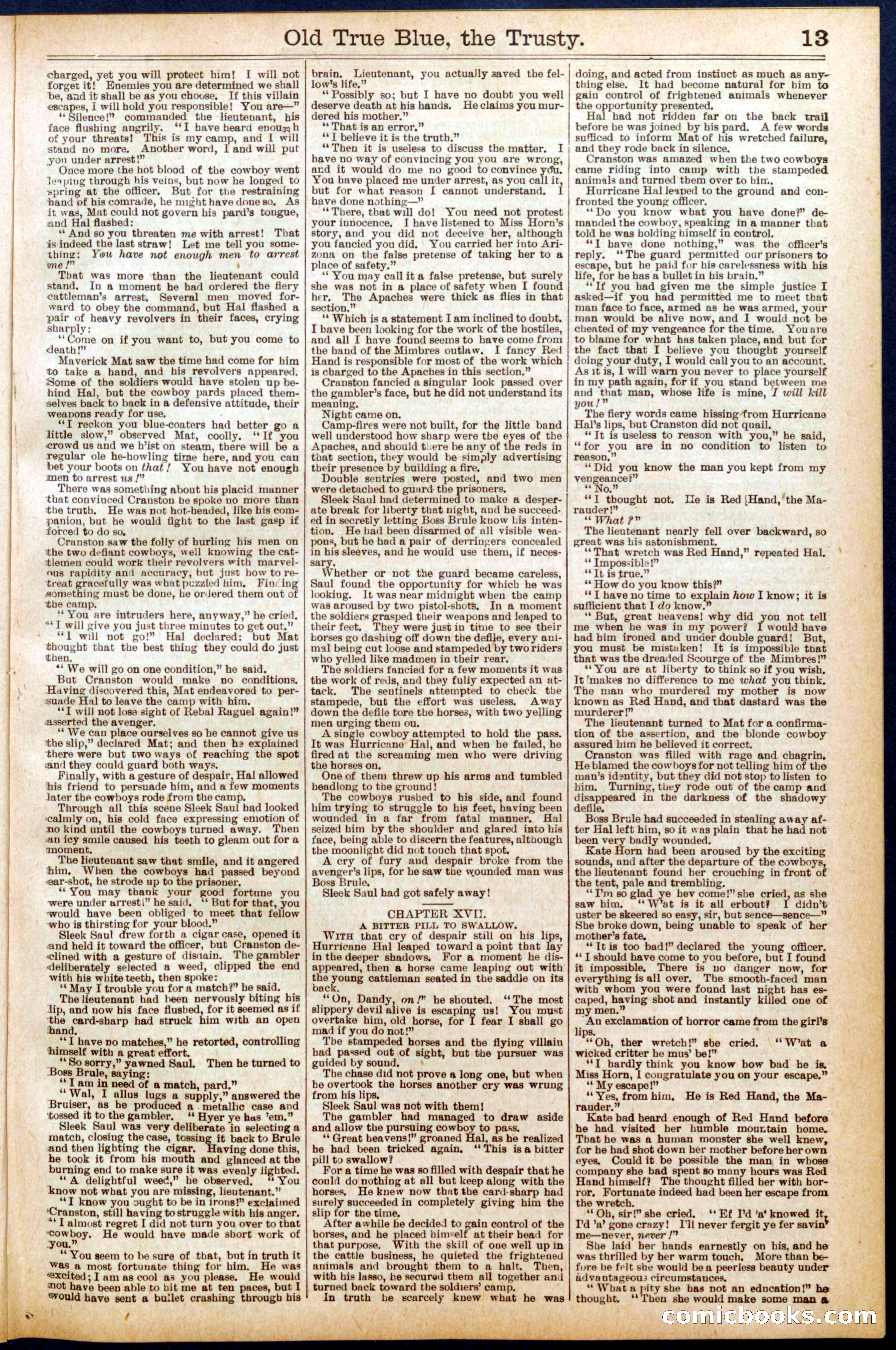 Beadle's New York Dime Library, No. 669 — page 13 of 32