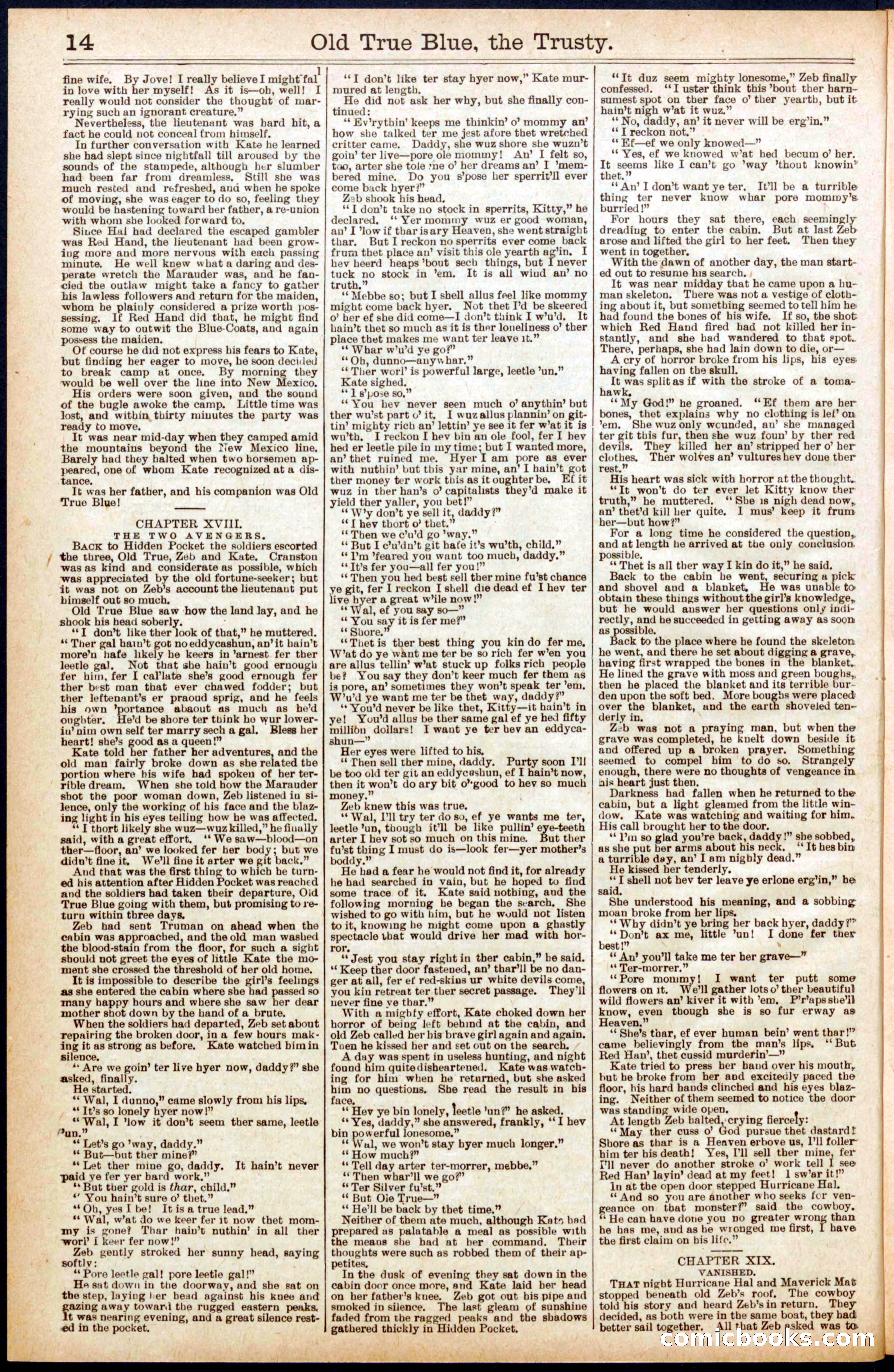 Beadle's New York Dime Library, No. 669 — page 14 of 32