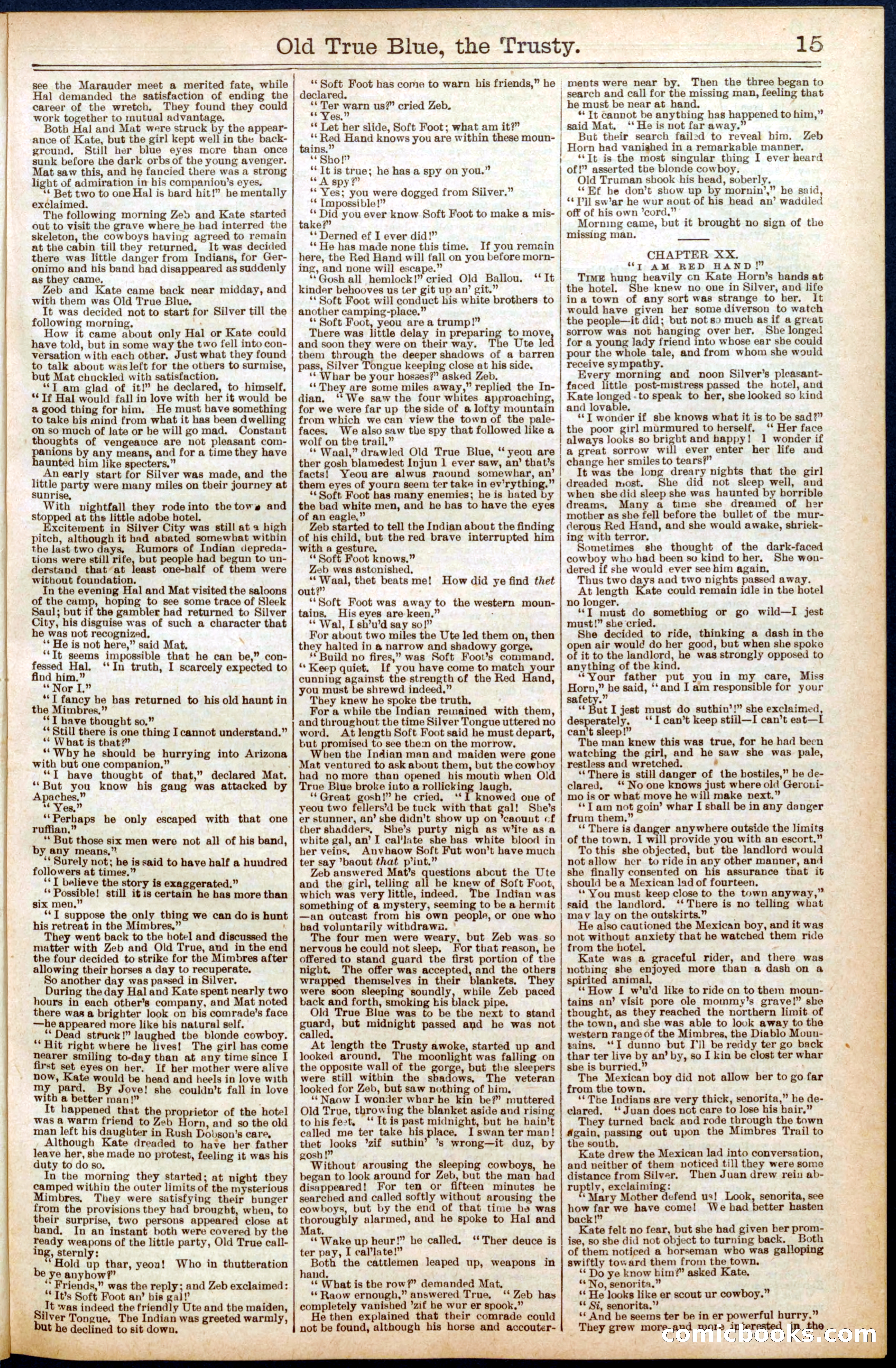 Beadle's New York Dime Library, No. 669 — page 15 of 32