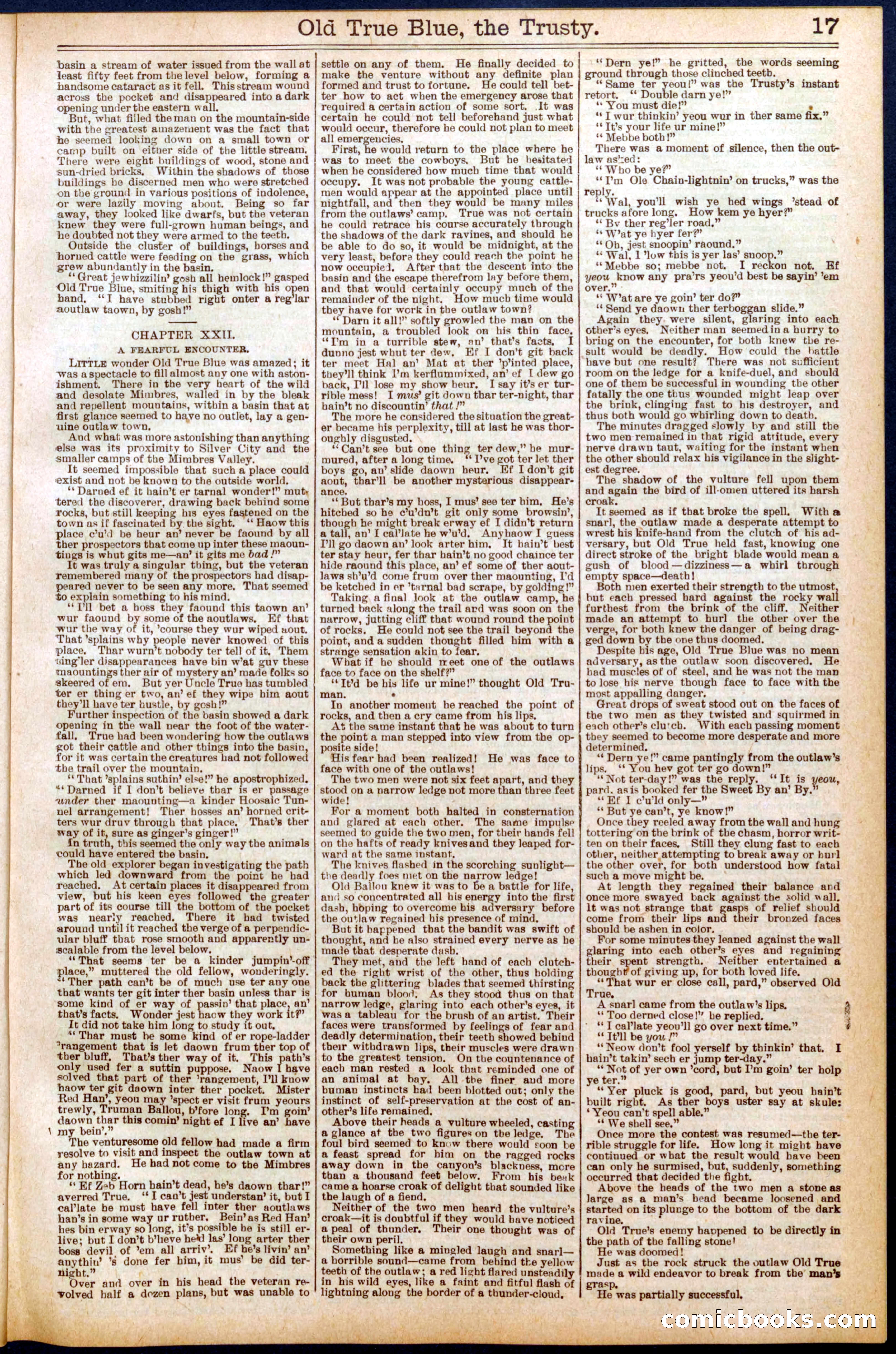 Beadle's New York Dime Library, No. 669 — page 17 of 32