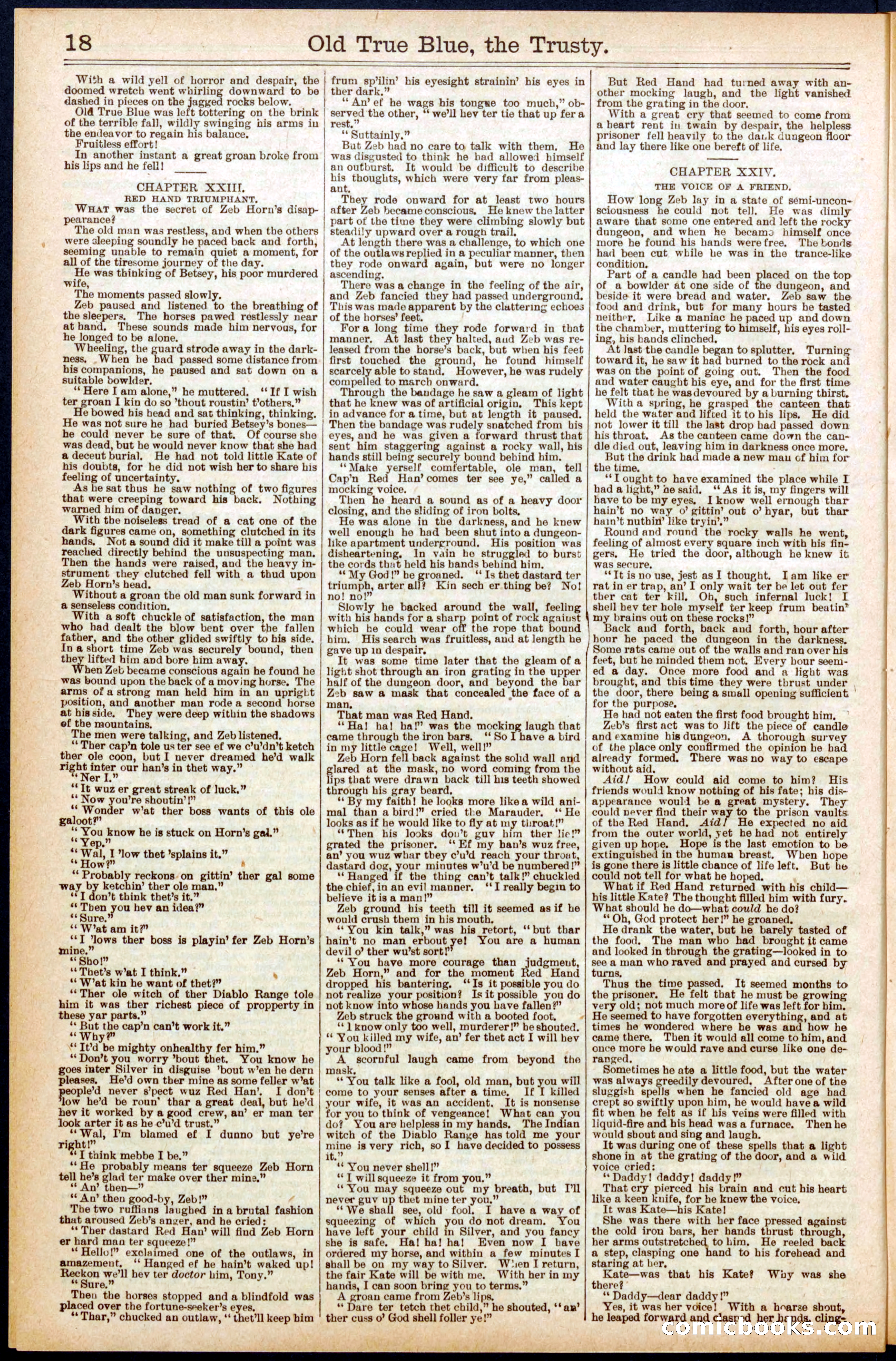 Beadle's New York Dime Library, No. 669 — page 18 of 32