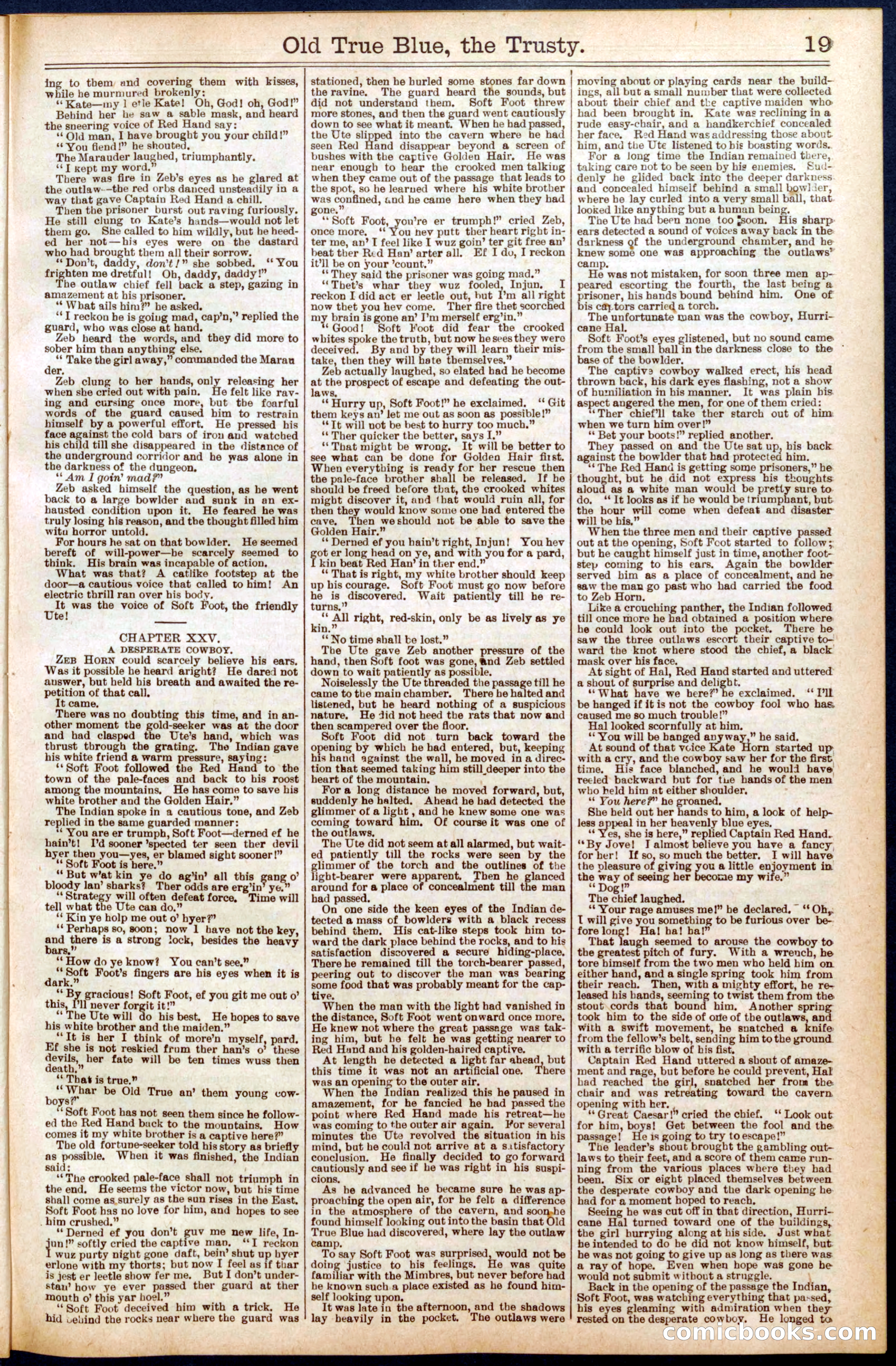 Beadle's New York Dime Library, No. 669 — page 19 of 32