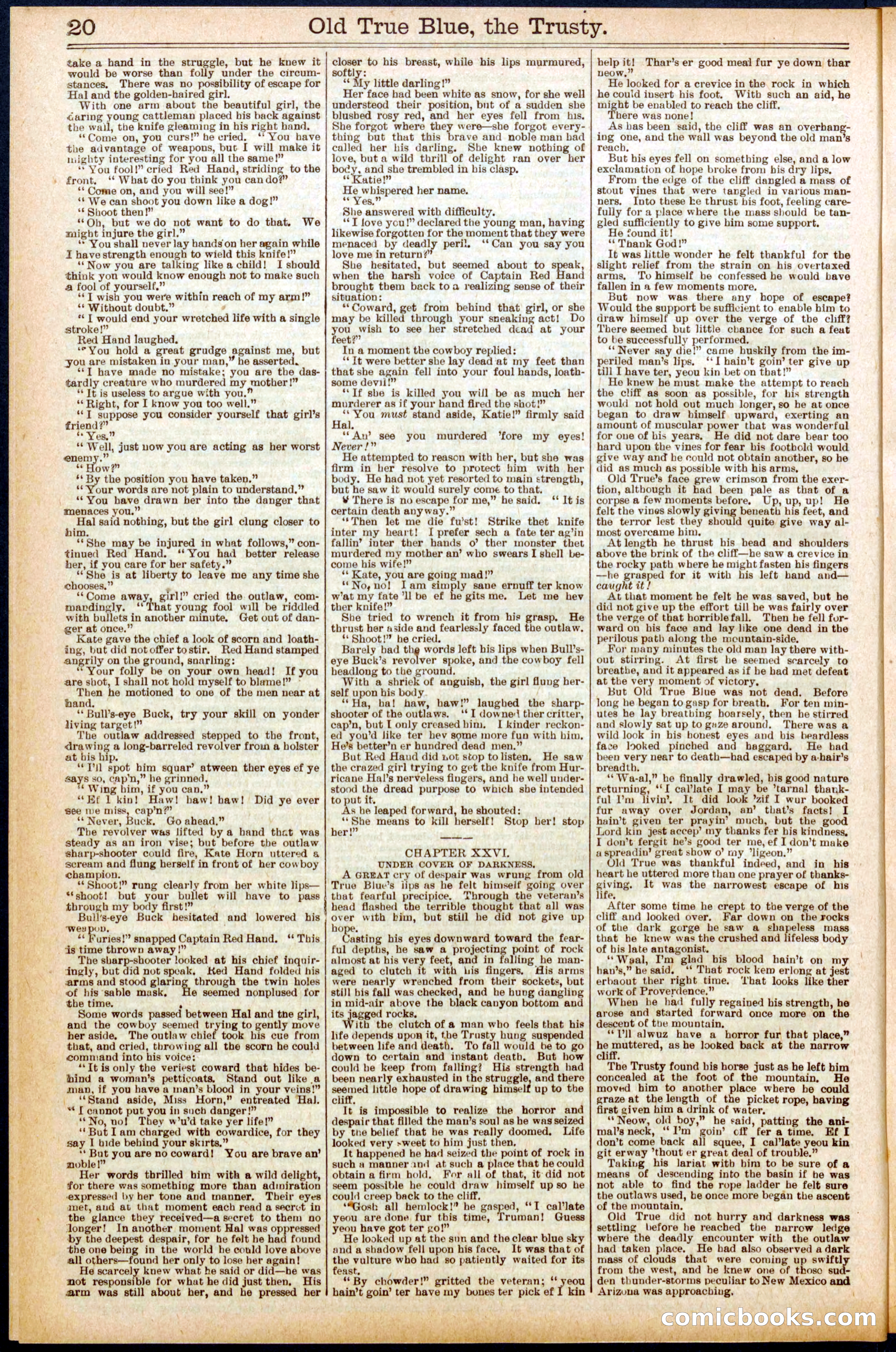 Beadle's New York Dime Library, No. 669 — page 20 of 32