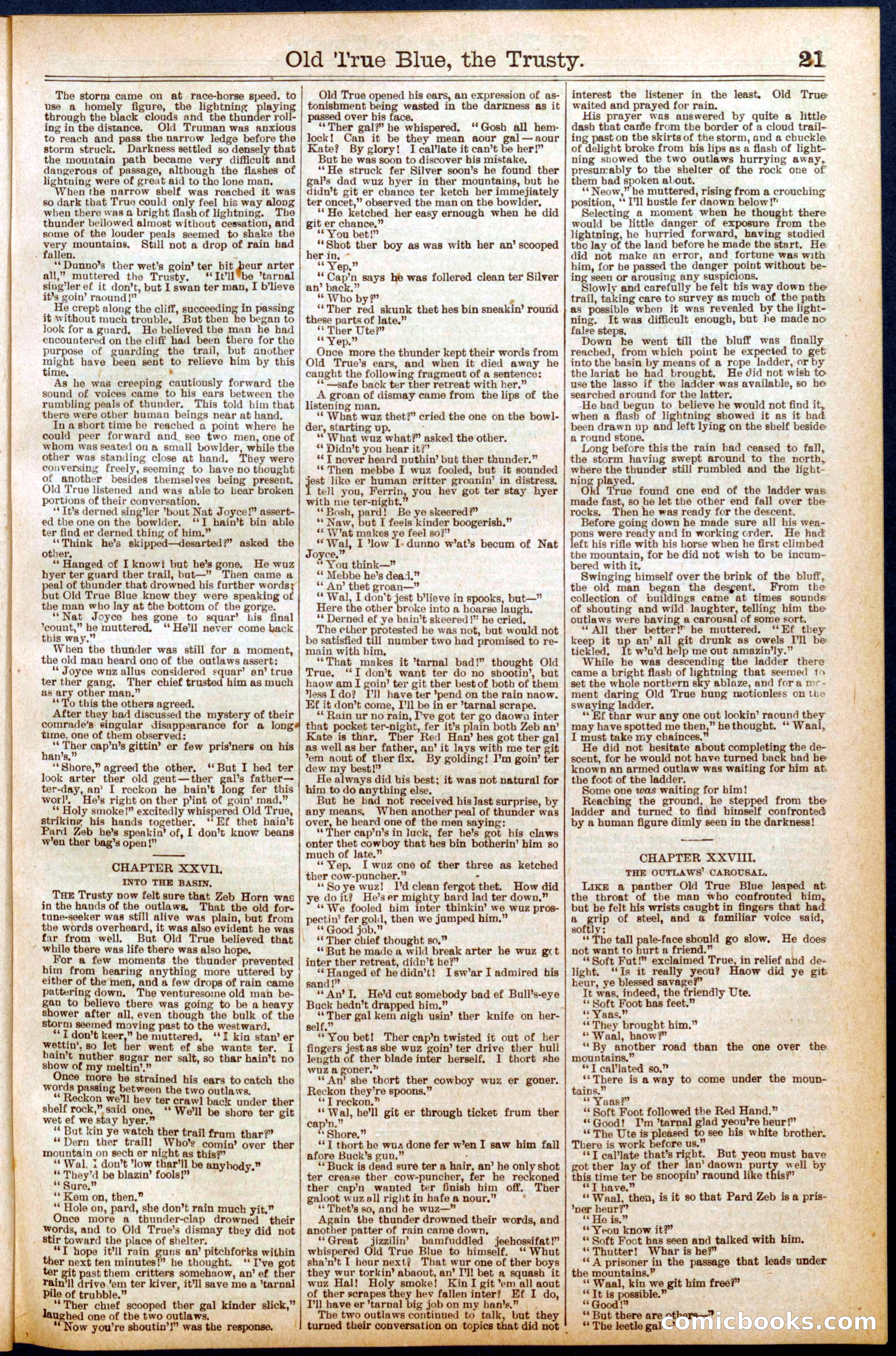 Beadle's New York Dime Library, No. 669 — page 21 of 32