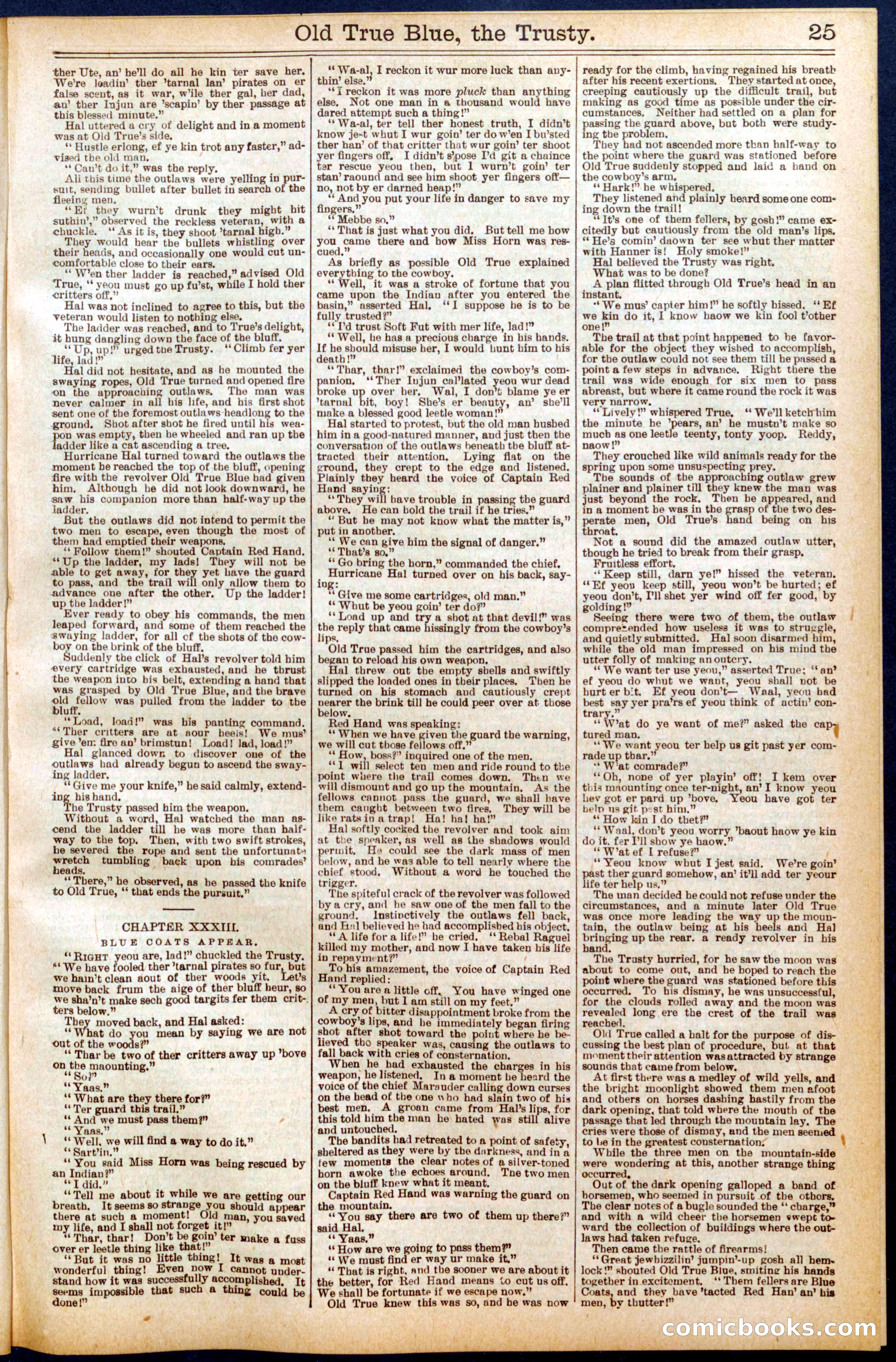 Beadle's New York Dime Library, No. 669 — page 25 of 32