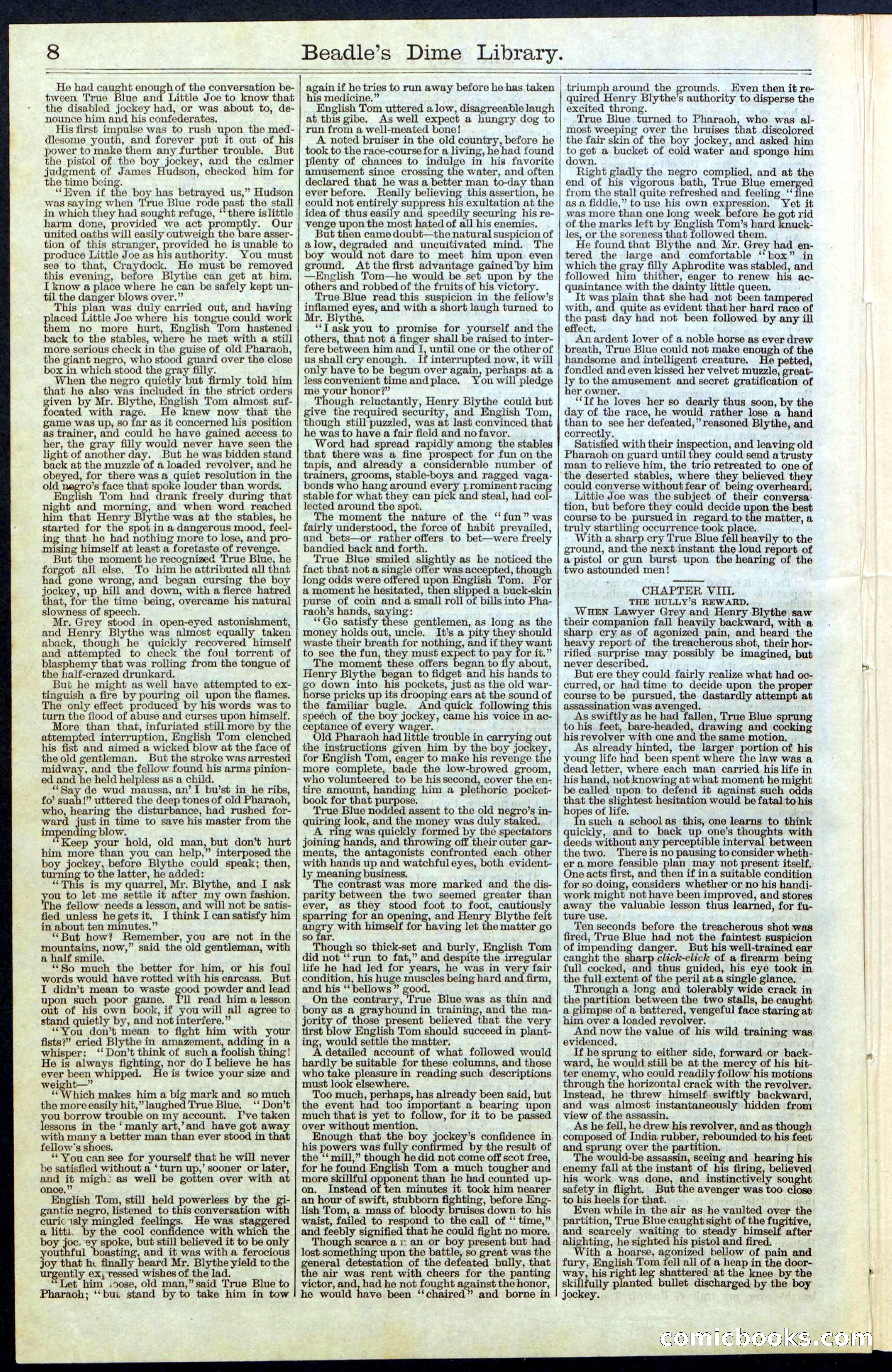 Beadle's New York Dime Library, No. 67 — page 8 of 32