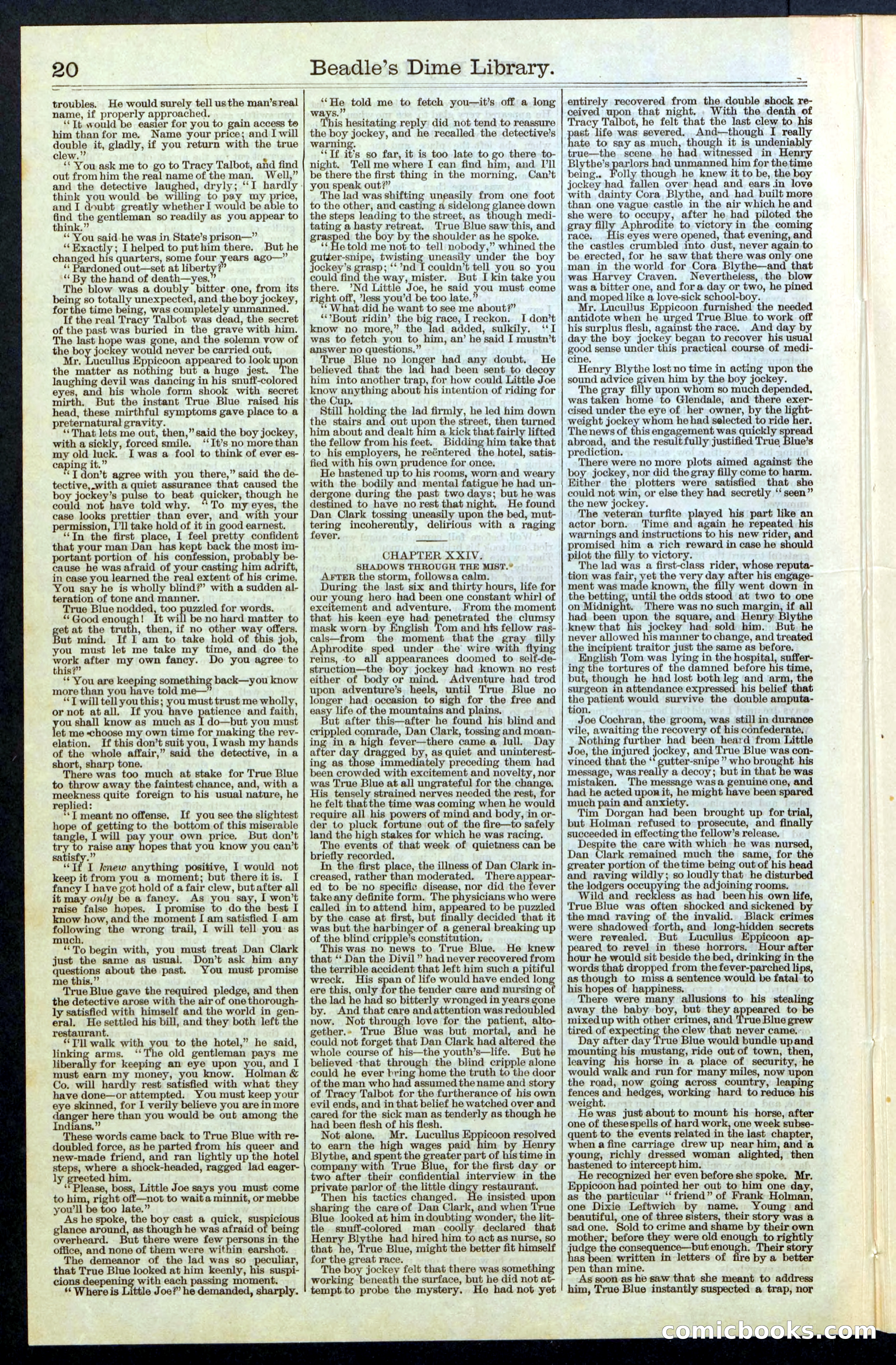 Beadle's New York Dime Library, No. 67 — page 20 of 32
