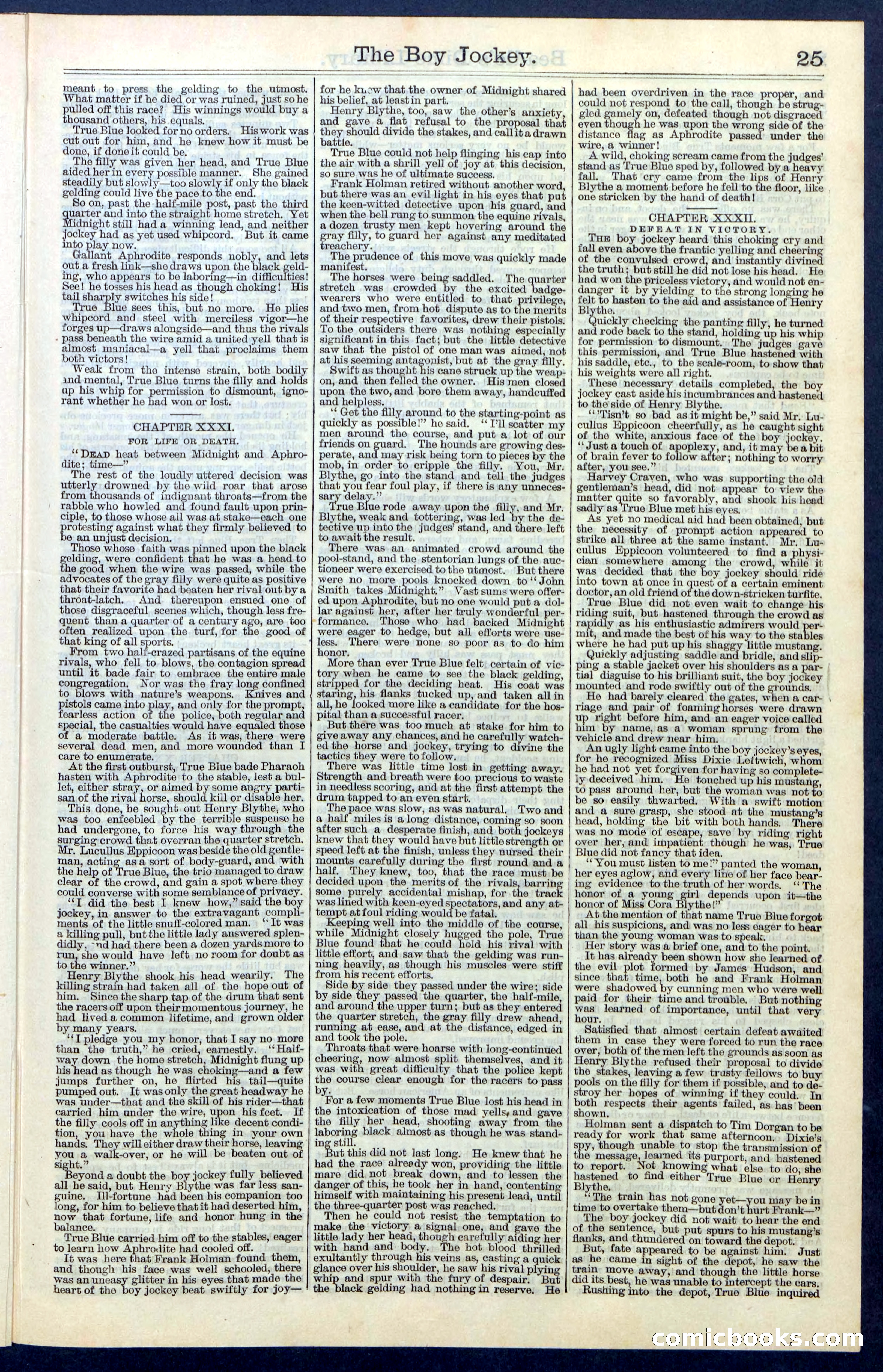 Beadle's New York Dime Library, No. 67 — page 25 of 32