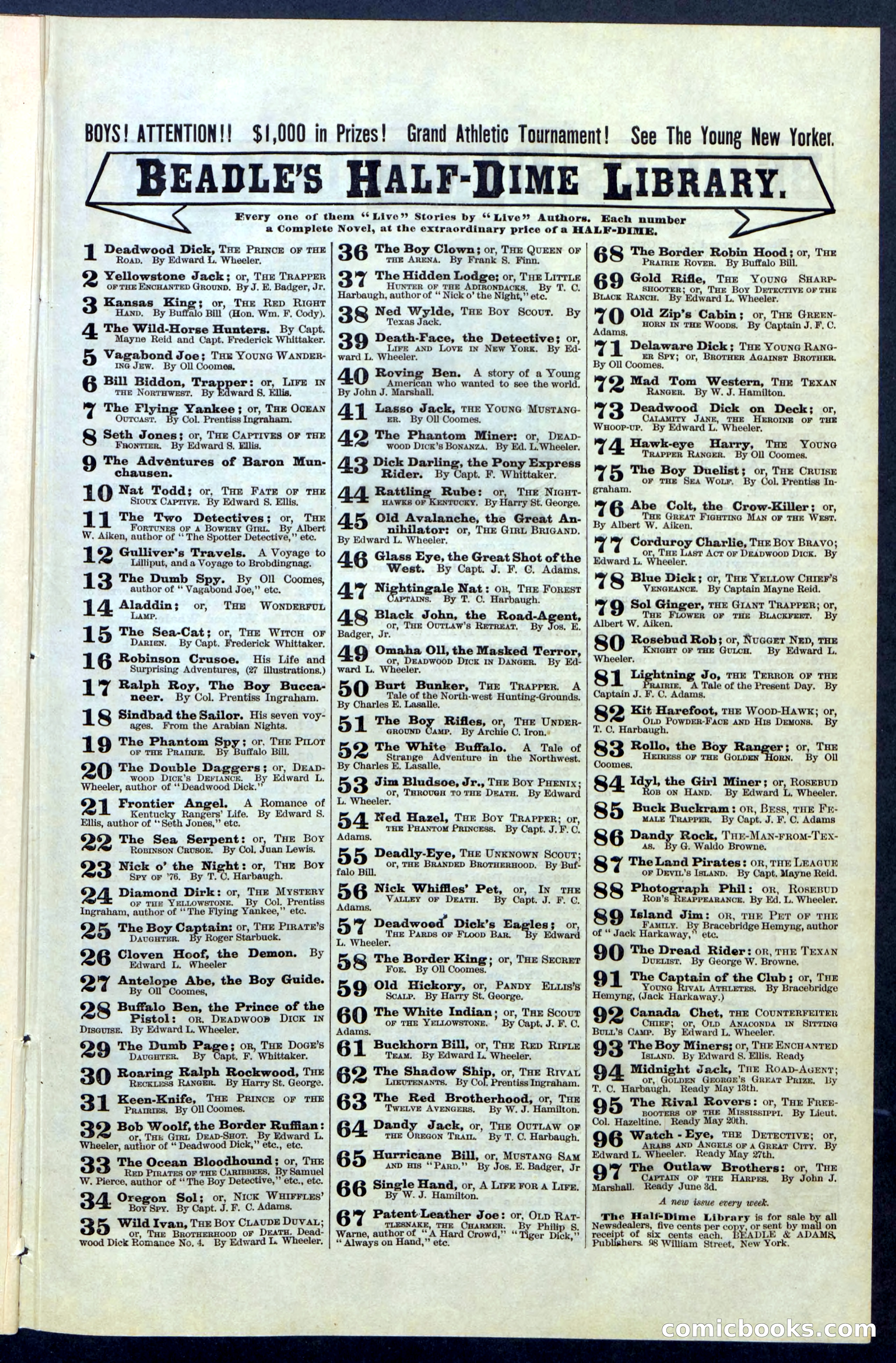 Beadle's New York Dime Library, No. 67 — page 31 of 32