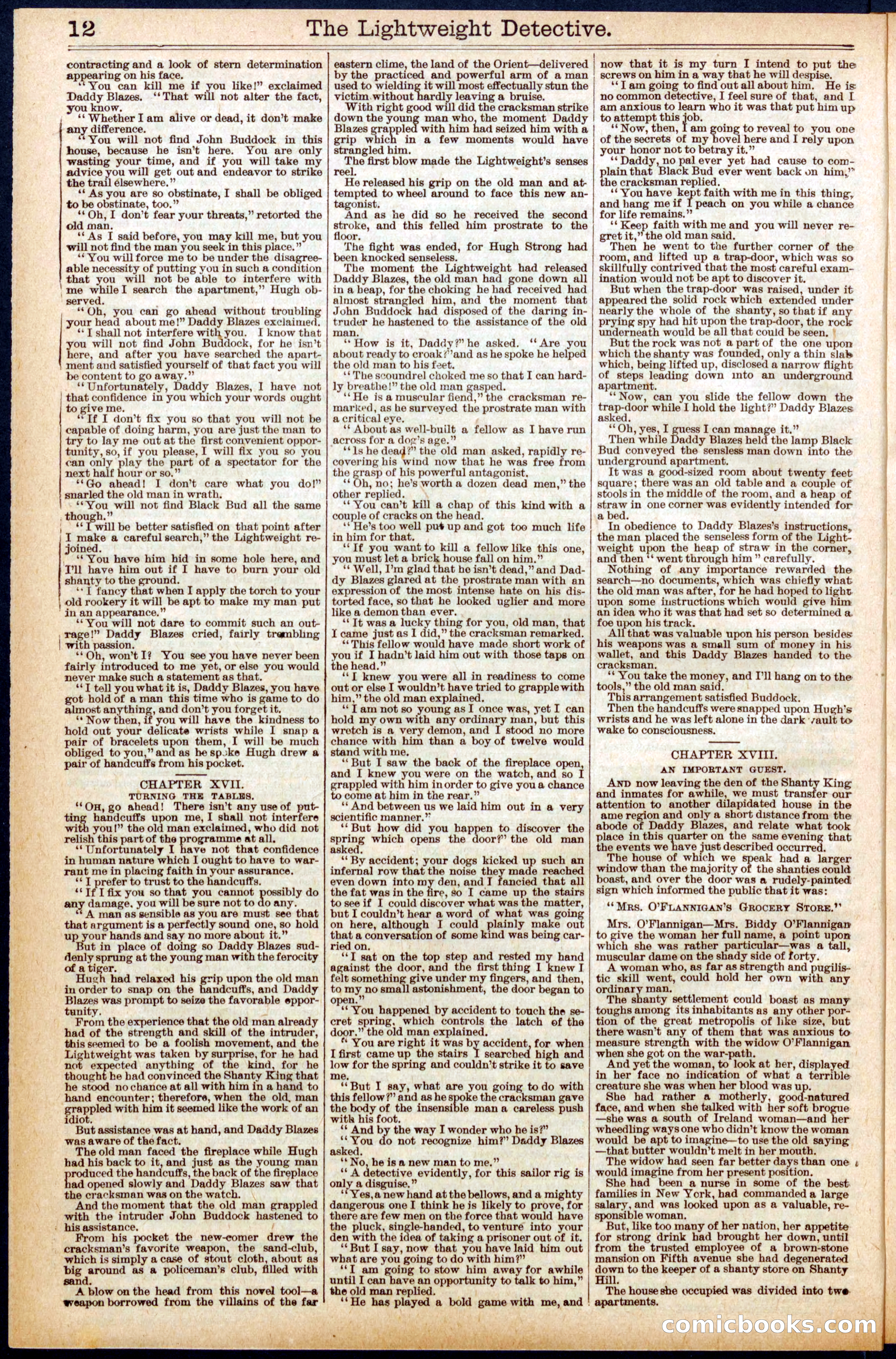 Beadle's New York Dime Library No. 670 — page 12 of 32