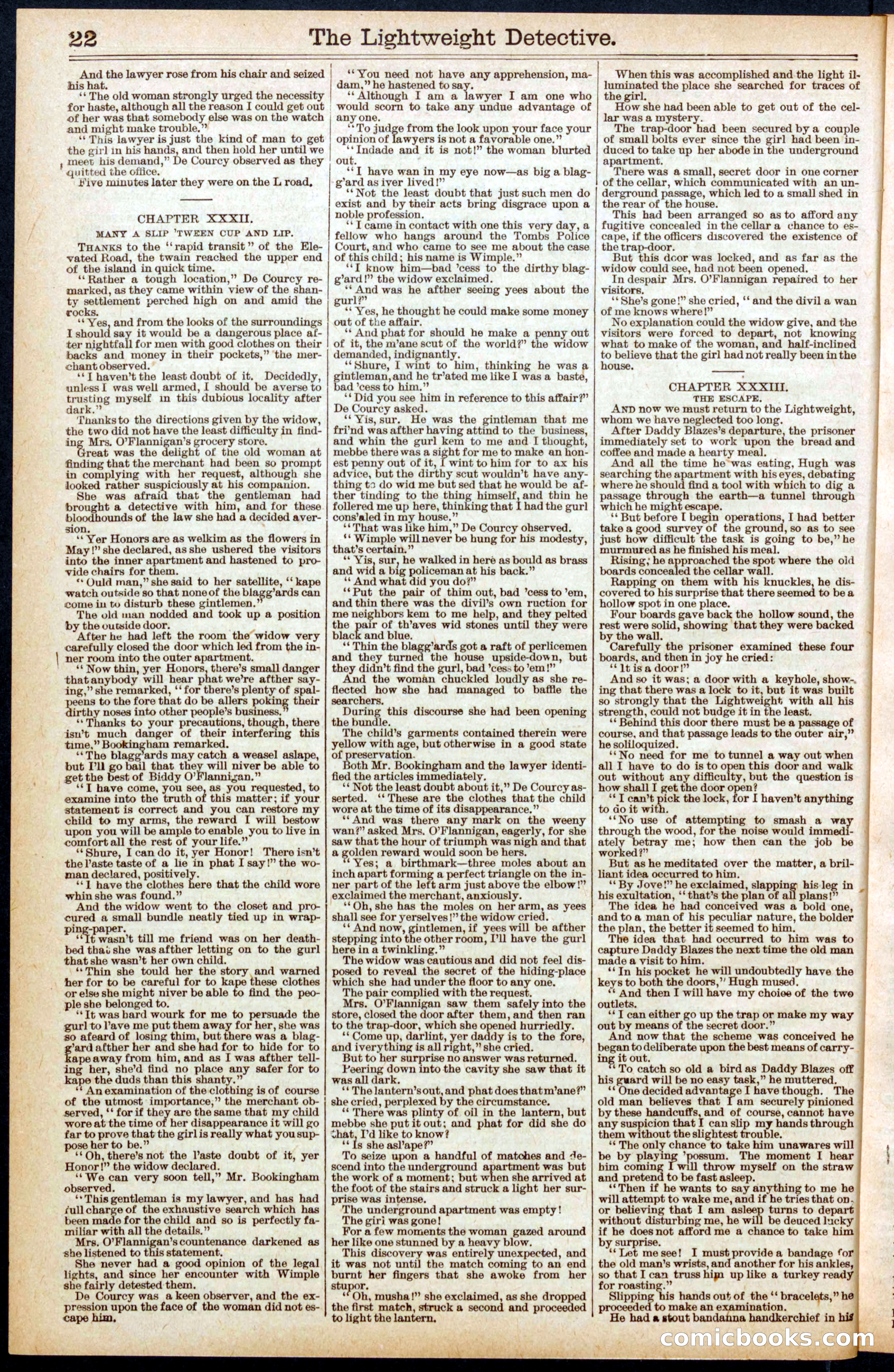 Beadle's New York Dime Library No. 670 — page 22 of 32