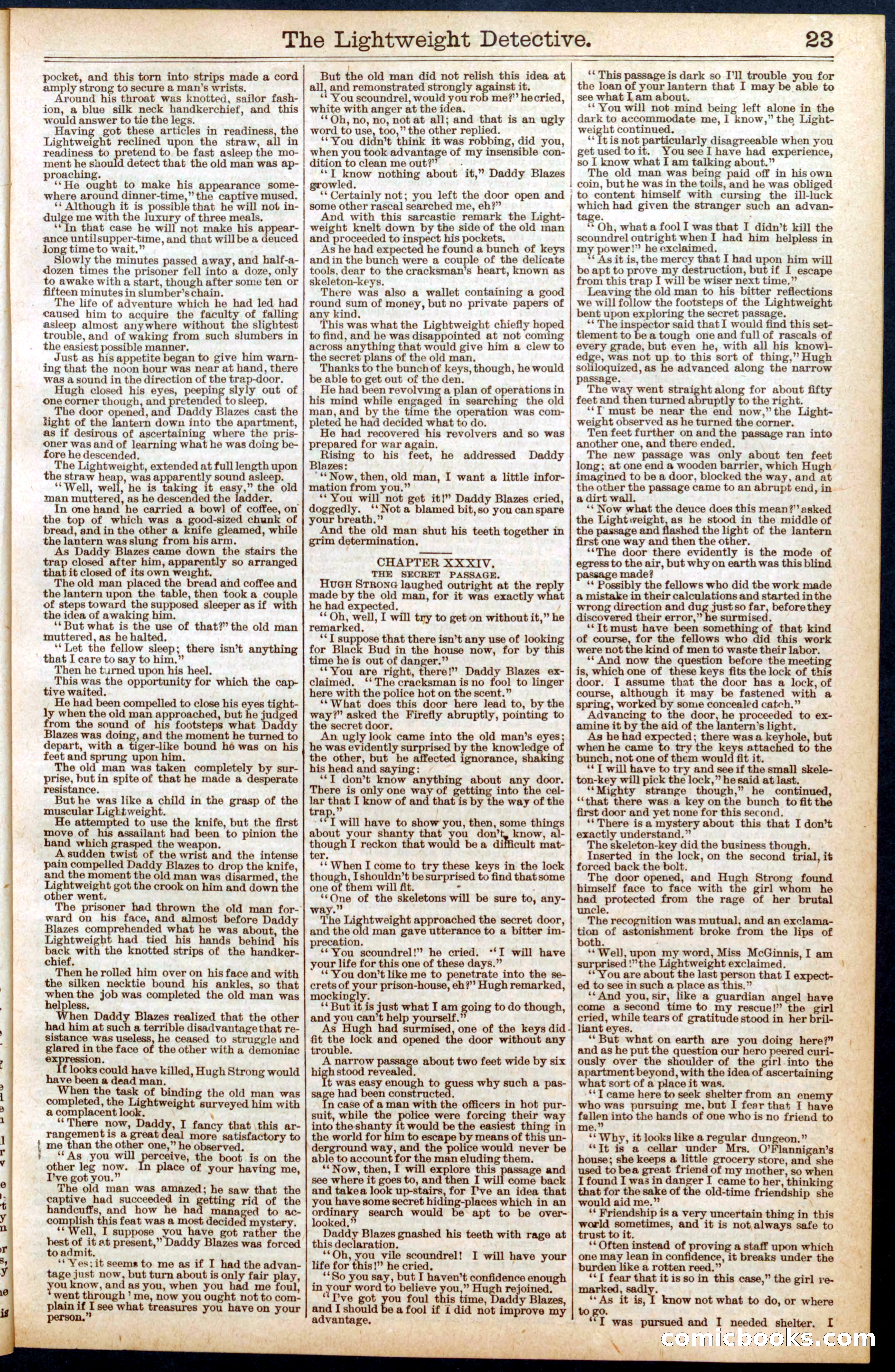Beadle's New York Dime Library No. 670 — page 23 of 32