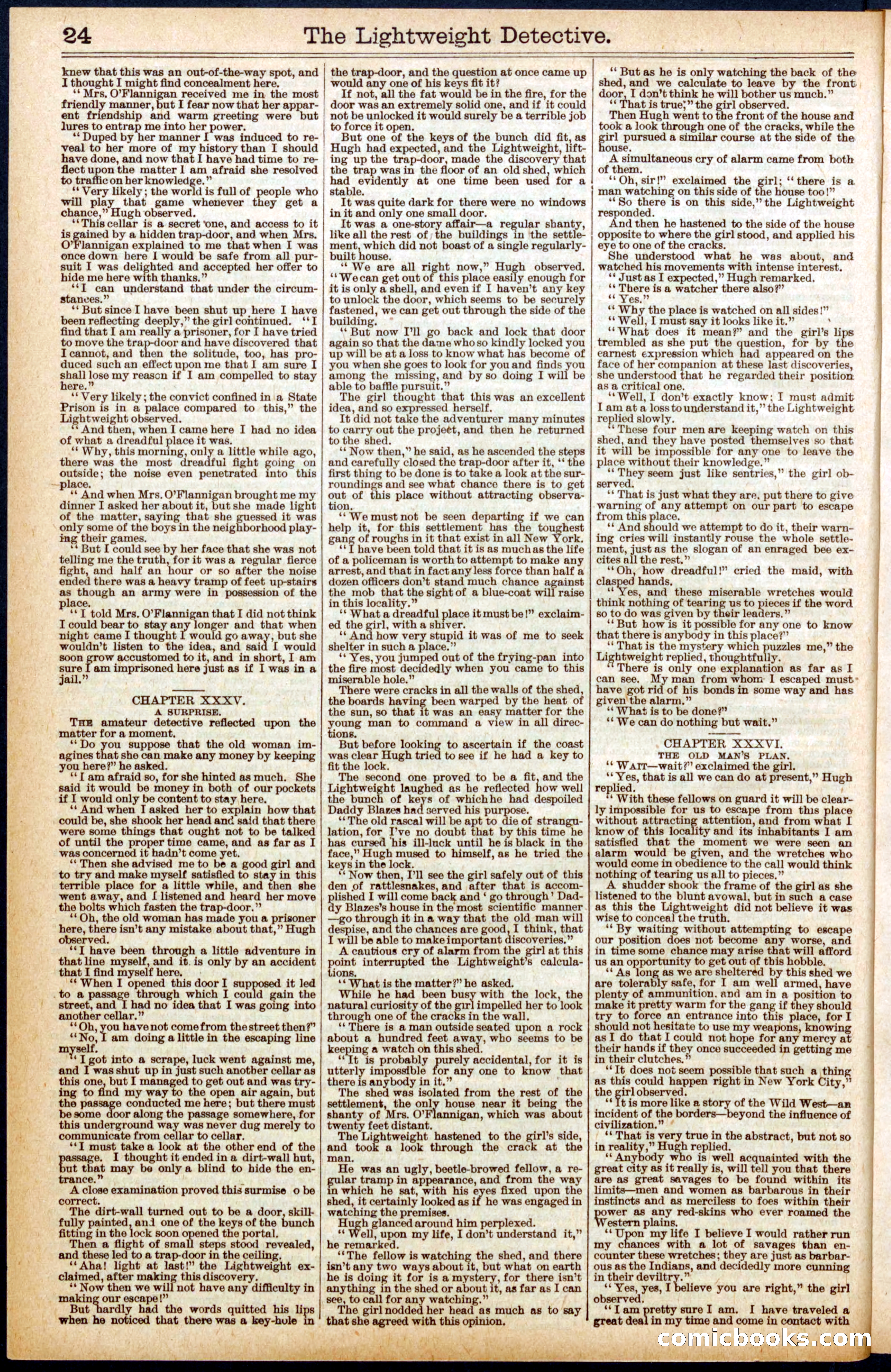 Beadle's New York Dime Library No. 670 — page 24 of 32
