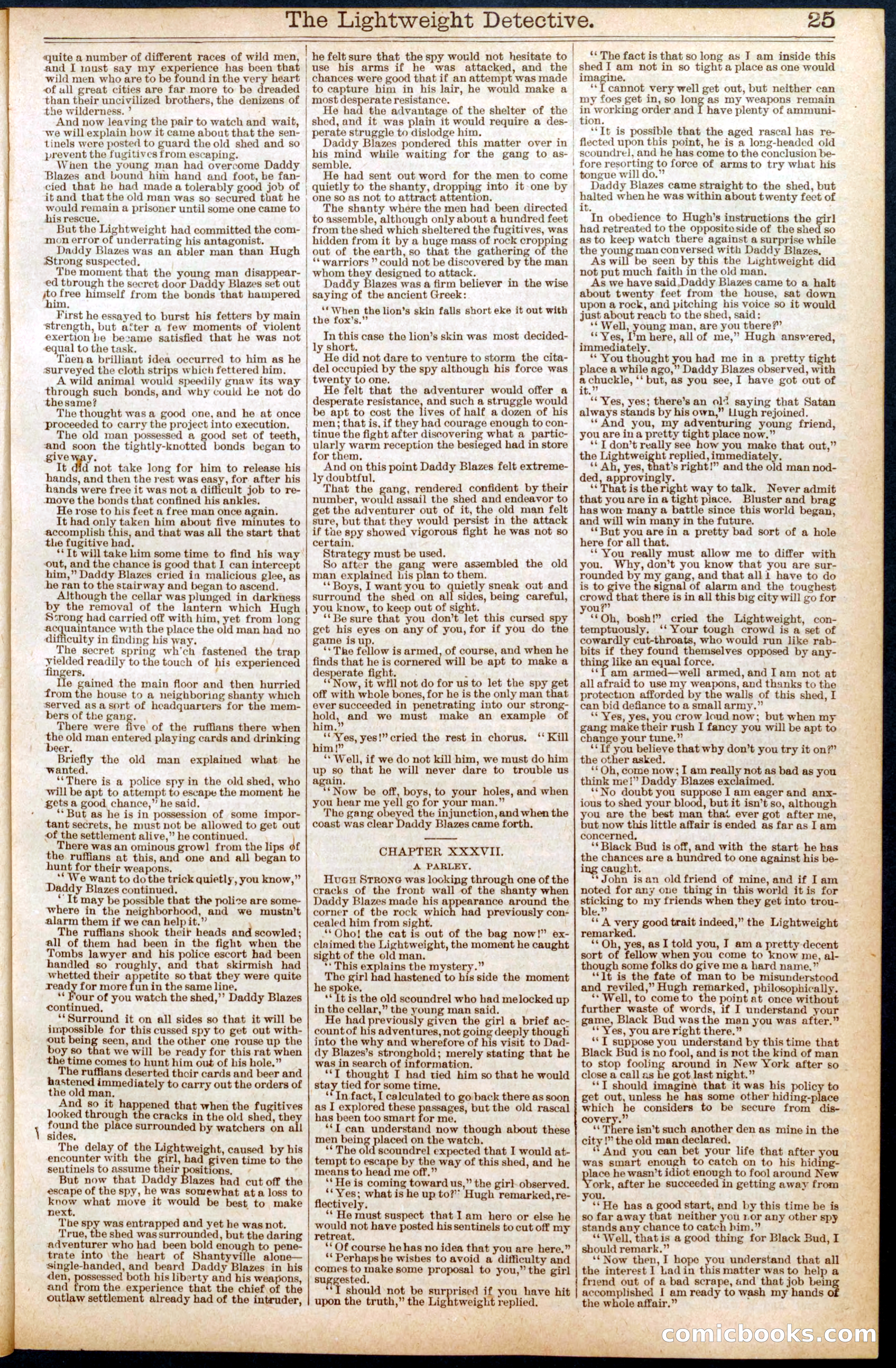 Beadle's New York Dime Library No. 670 — page 25 of 32