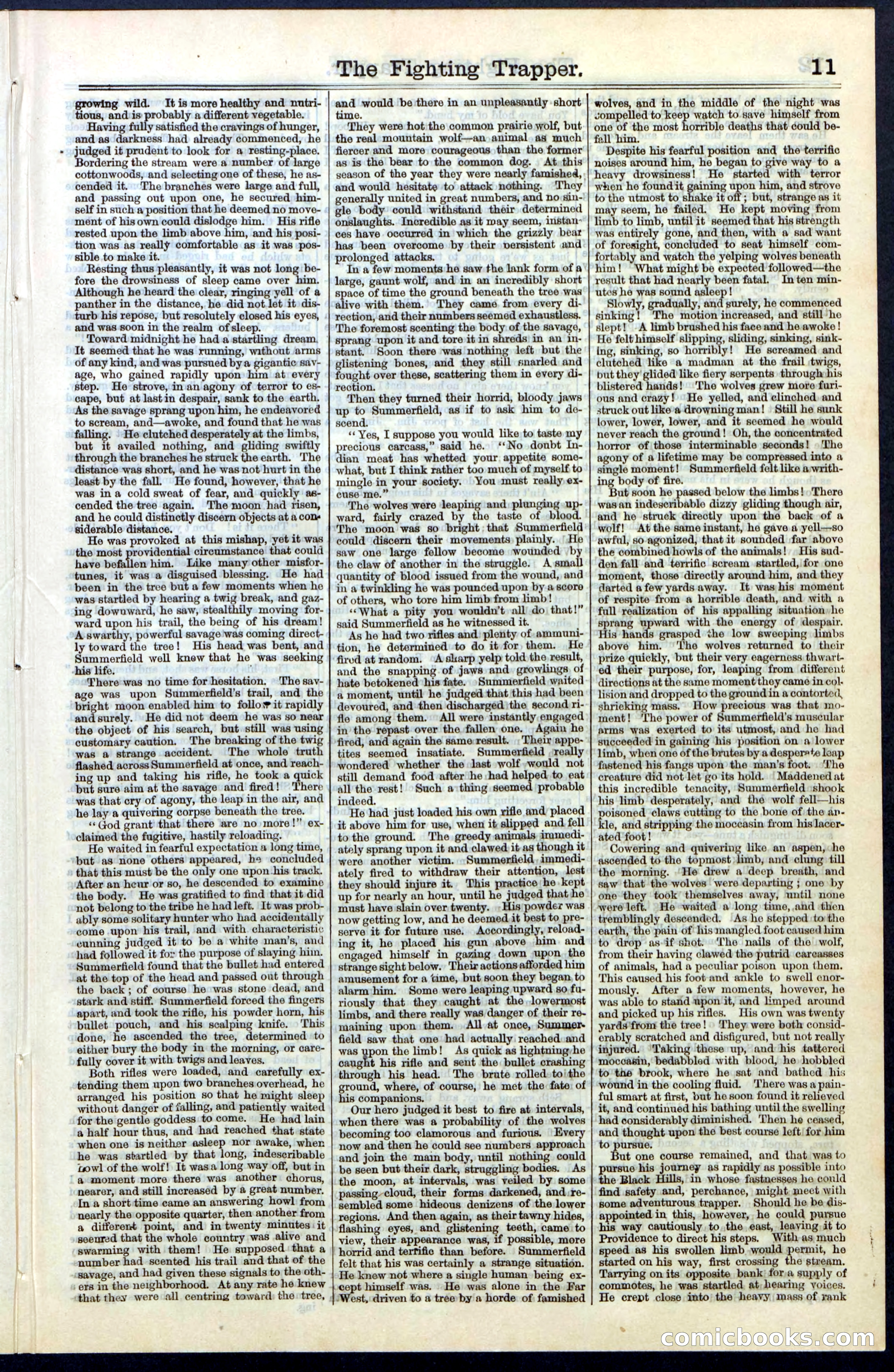 Beadle's New York Dime Library, No. 68 — page 11 of 32