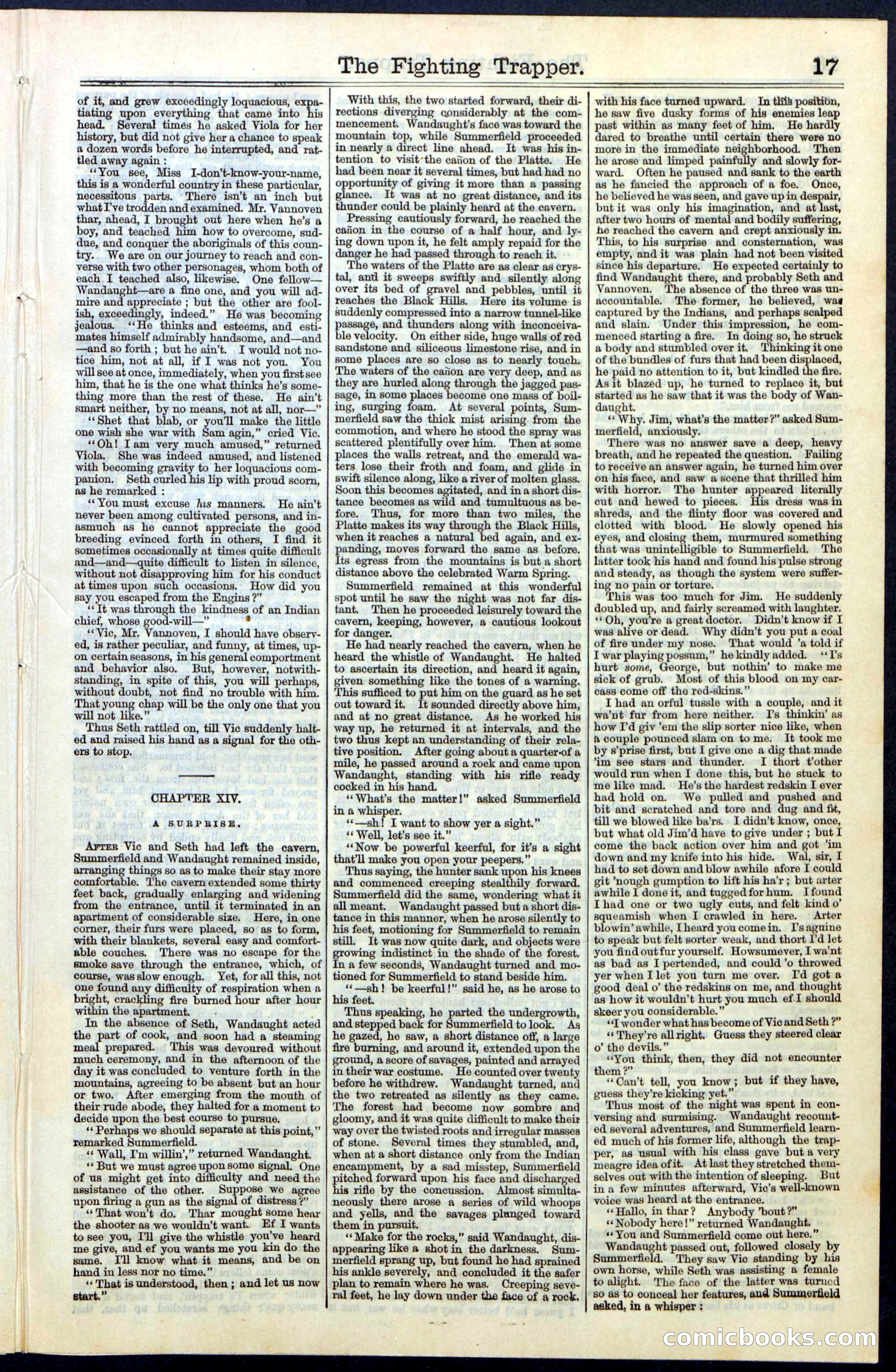 Beadle's New York Dime Library, No. 68 — page 17 of 32