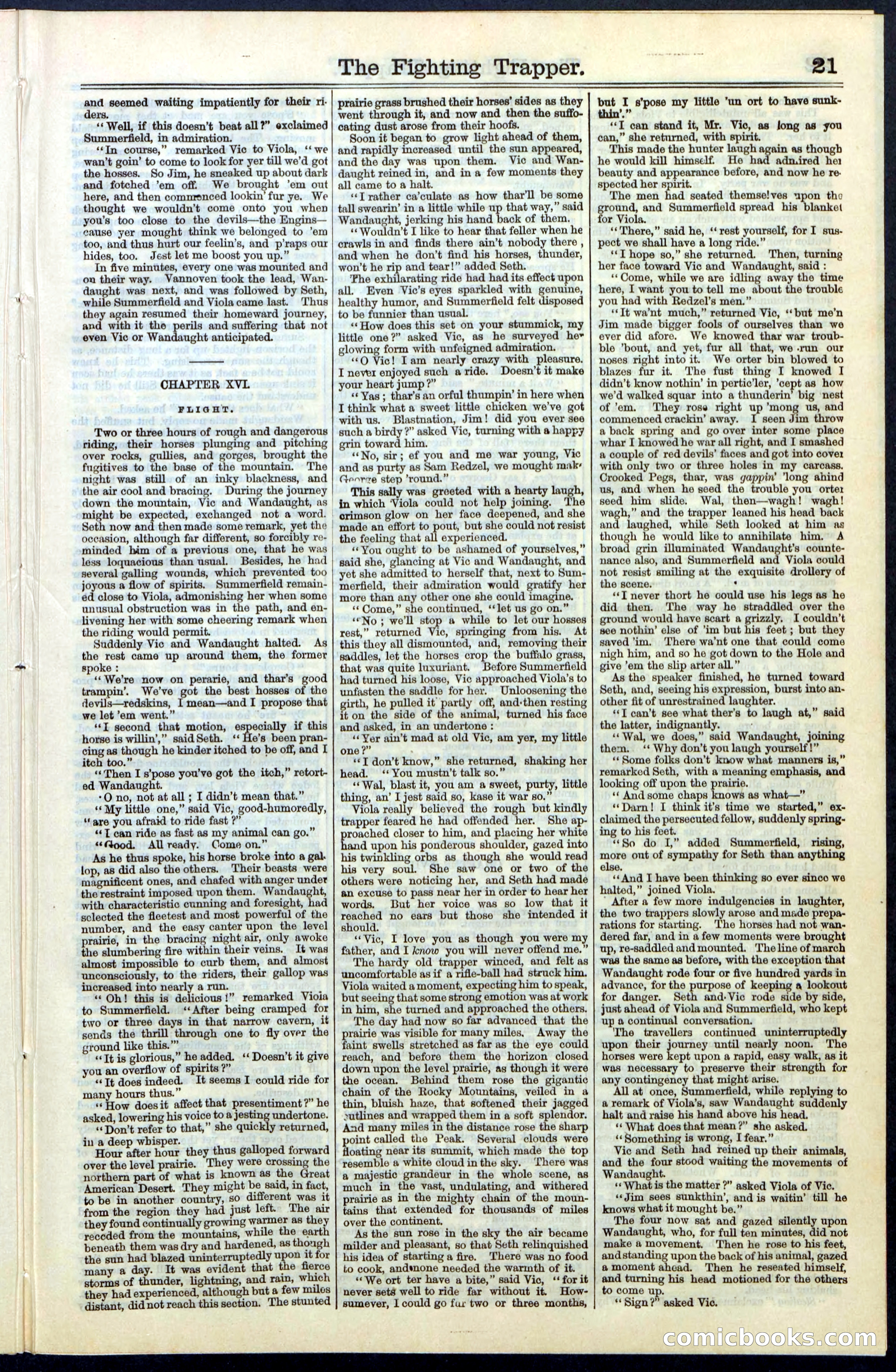 Beadle's New York Dime Library, No. 68 — page 21 of 32