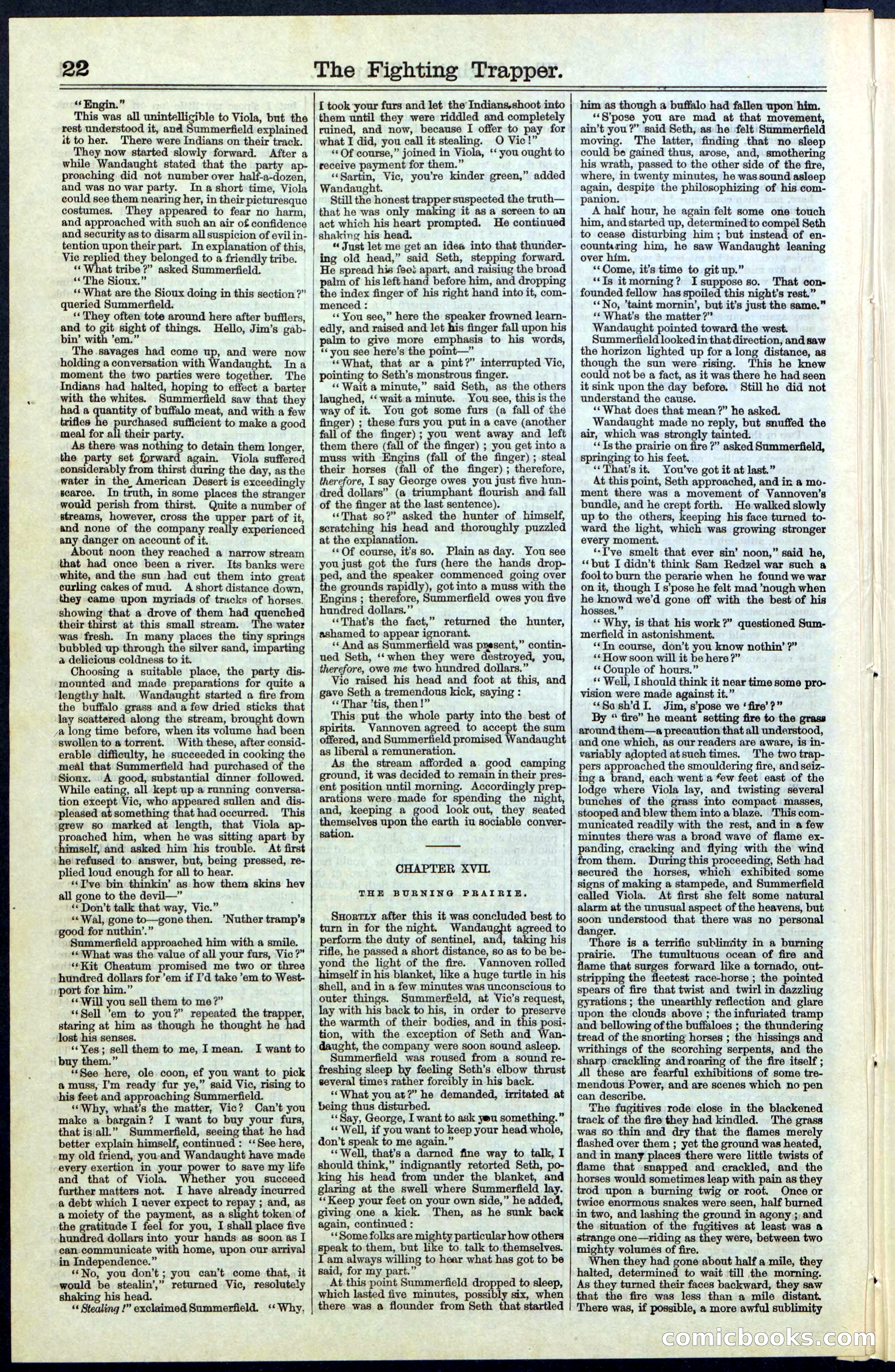 Beadle's New York Dime Library, No. 68 — page 22 of 32