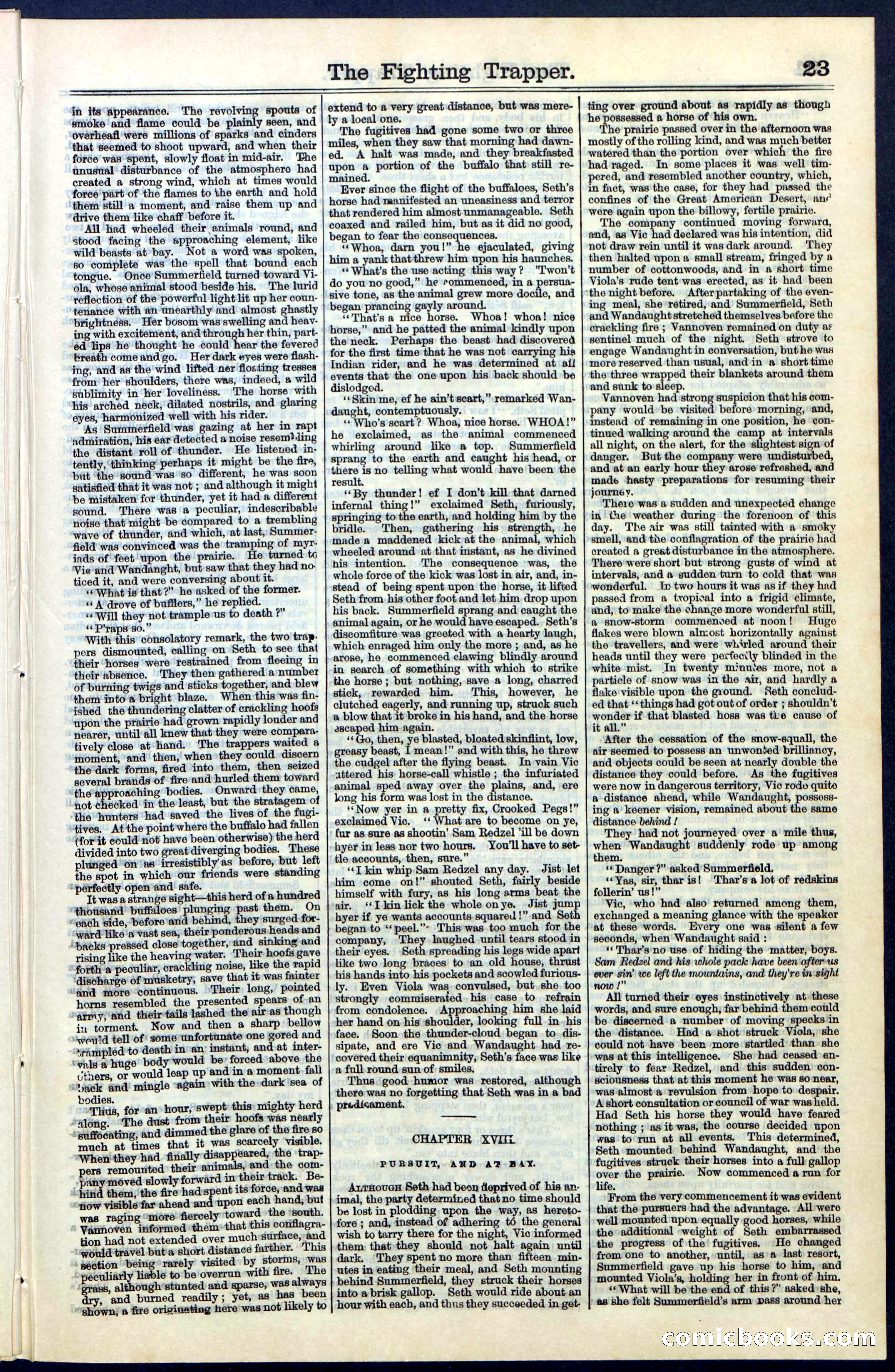 Beadle's New York Dime Library, No. 68 — page 23 of 32