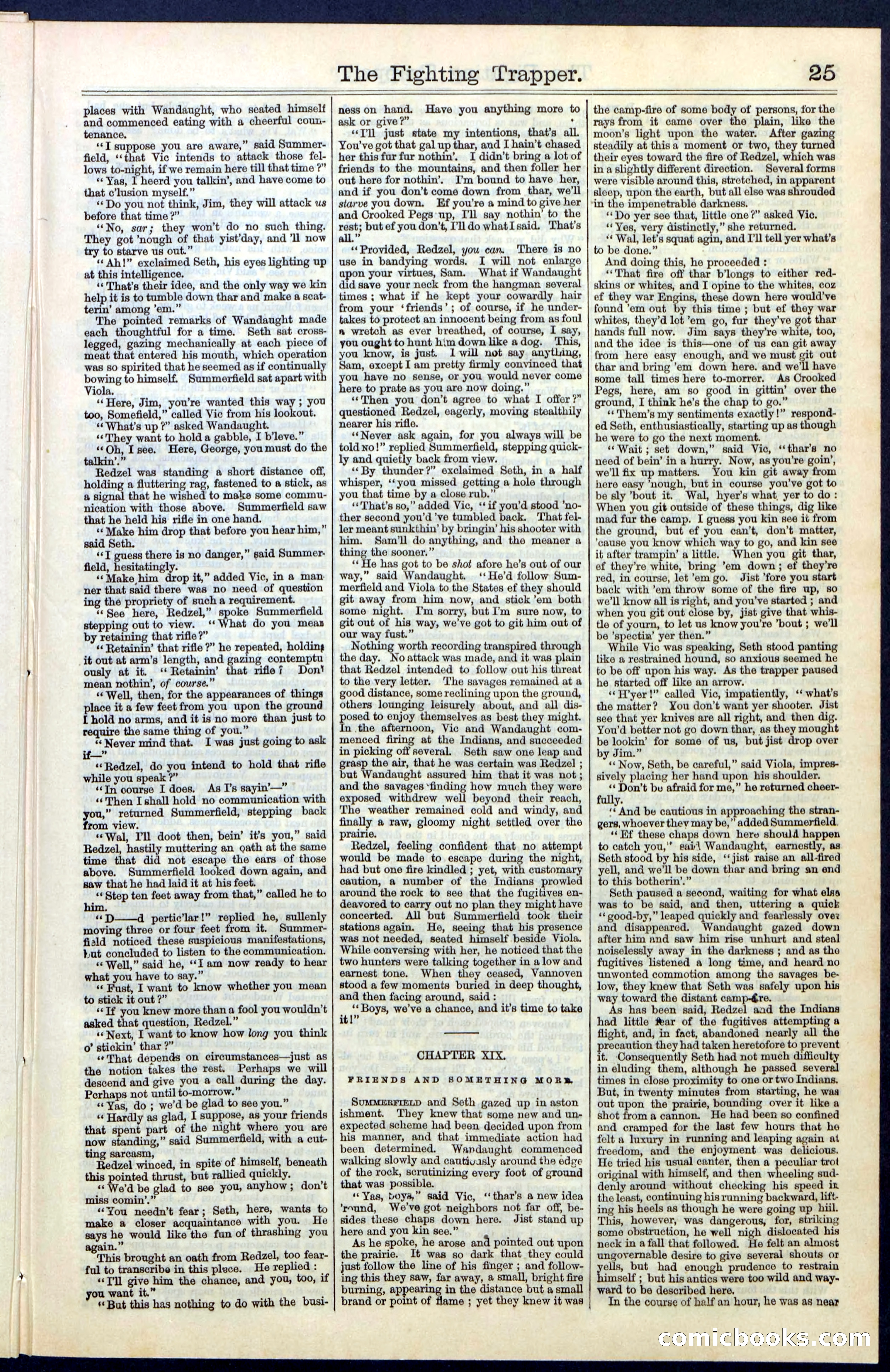 Beadle's New York Dime Library, No. 68 — page 25 of 32