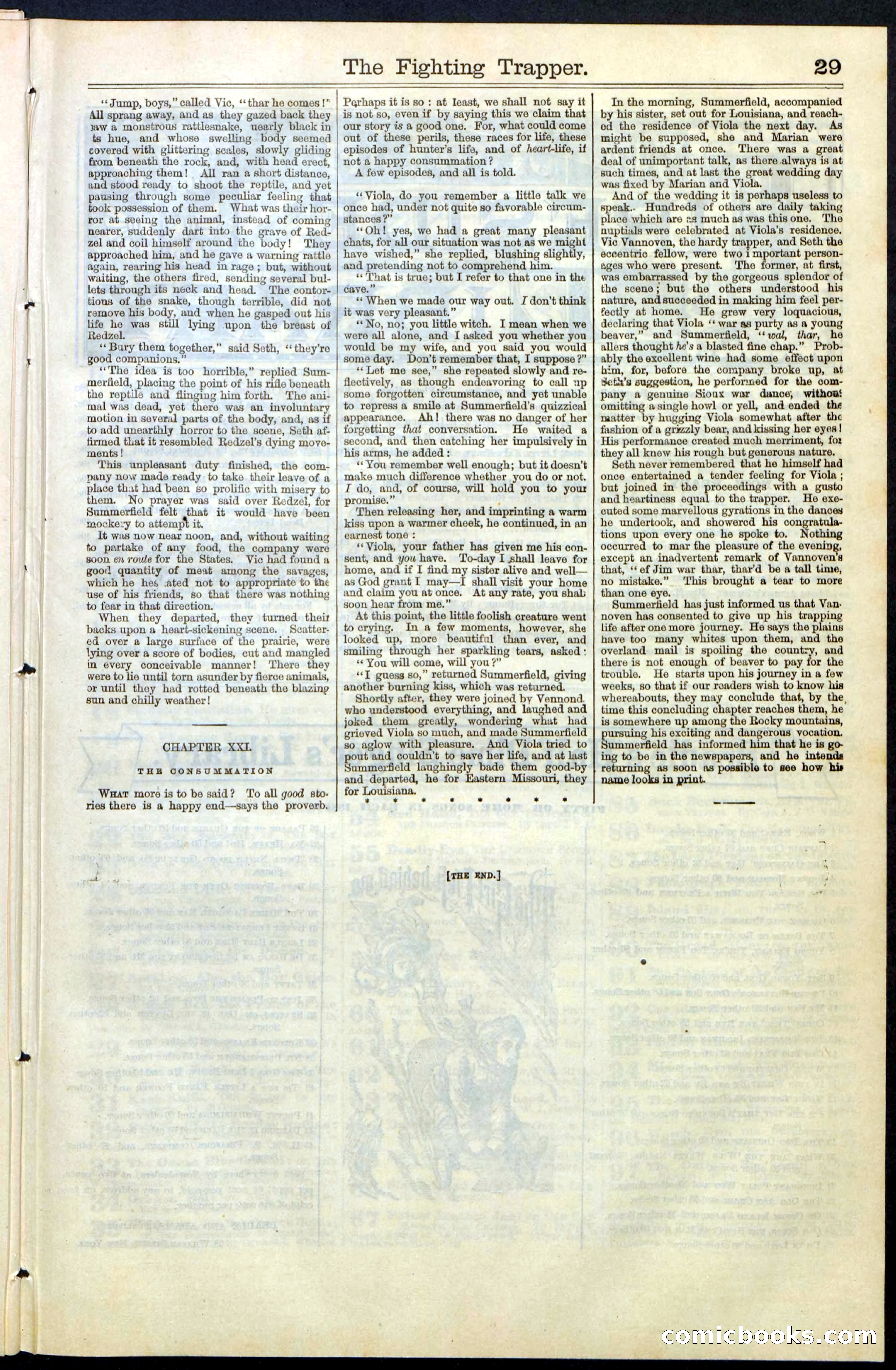 Beadle's New York Dime Library, No. 68 — page 29 of 32