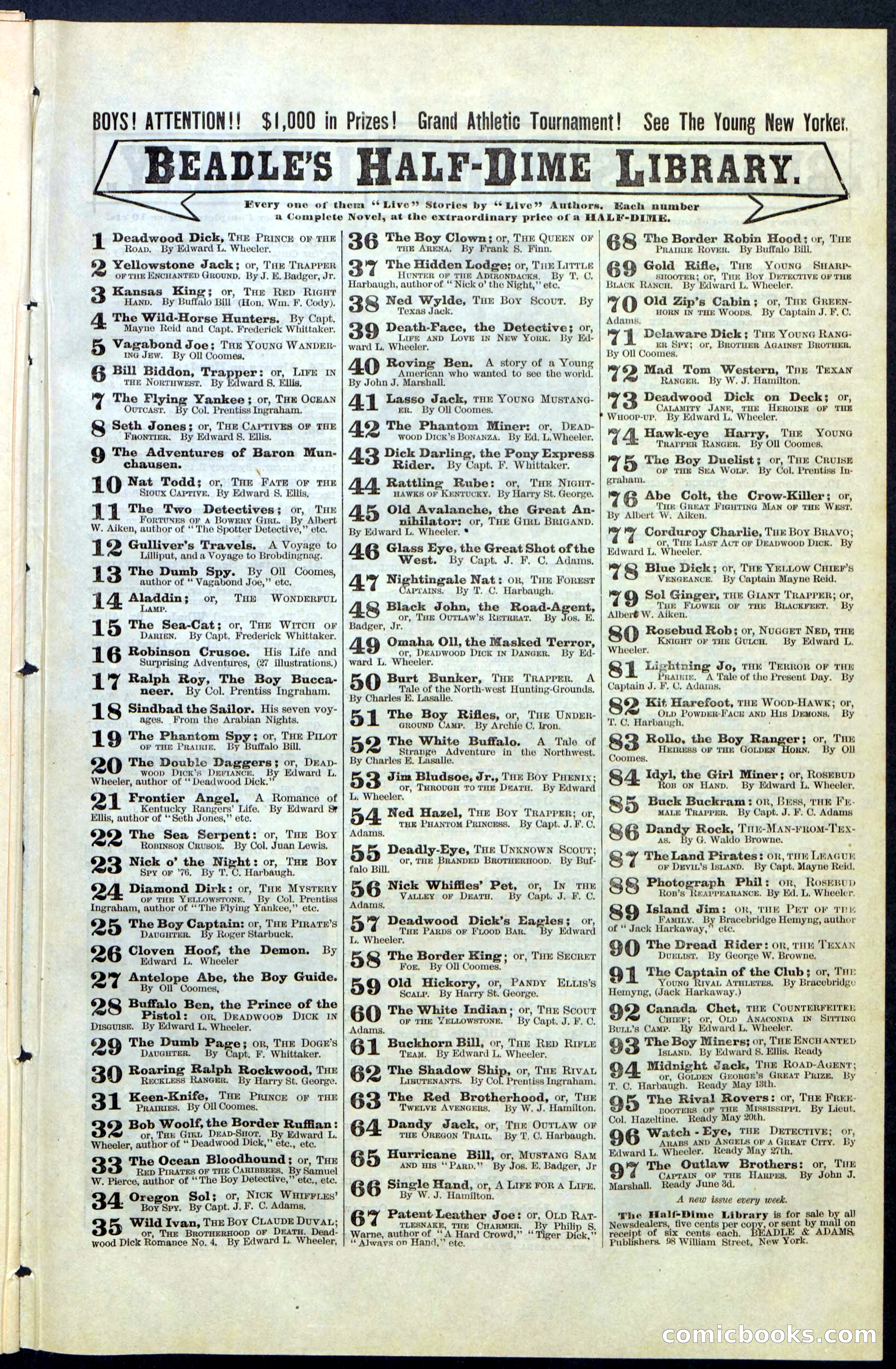 Beadle's New York Dime Library, No. 68 — page 31 of 32