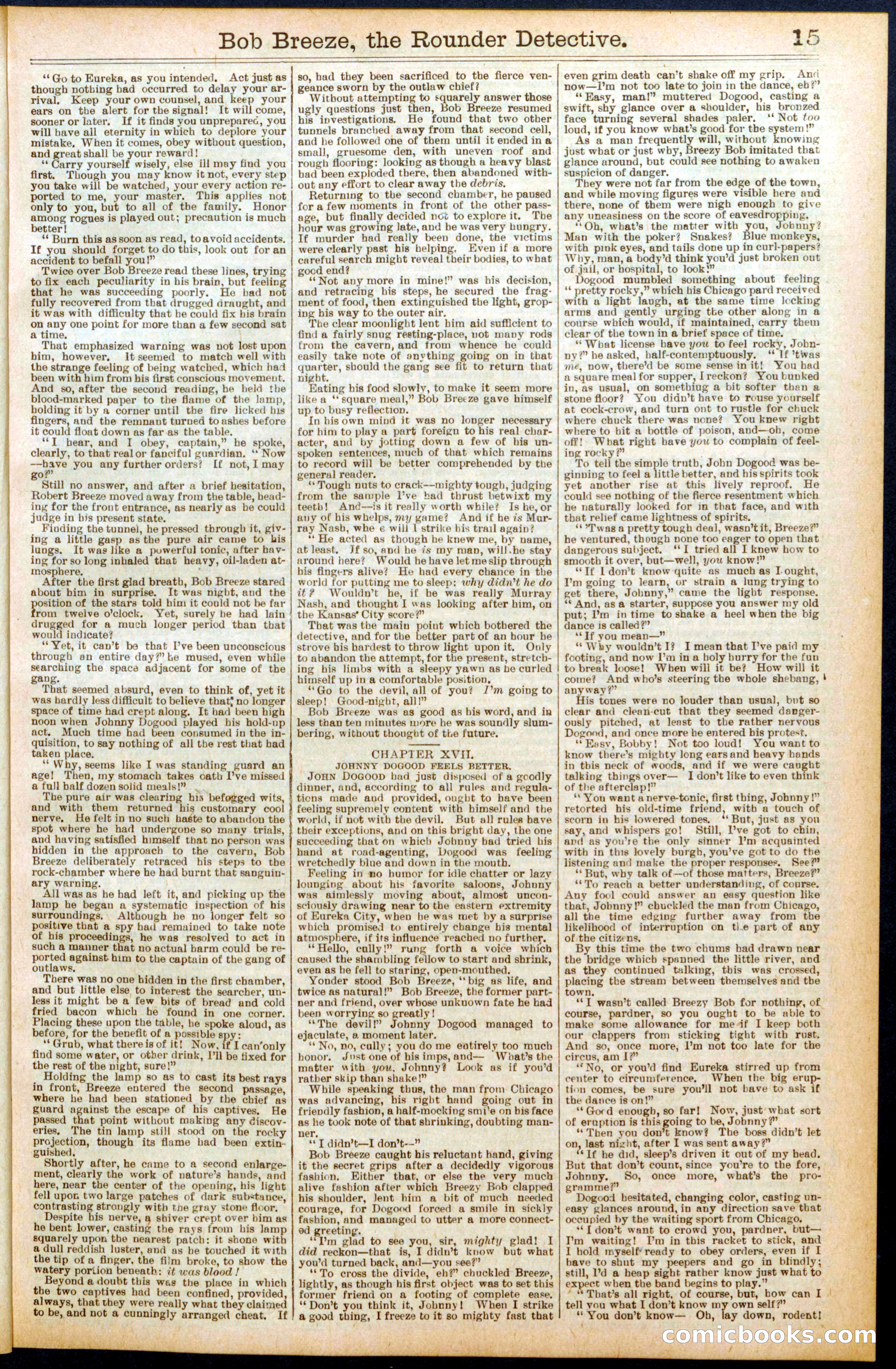 Beadle's Dime Library No. 683 — page 15 of 32