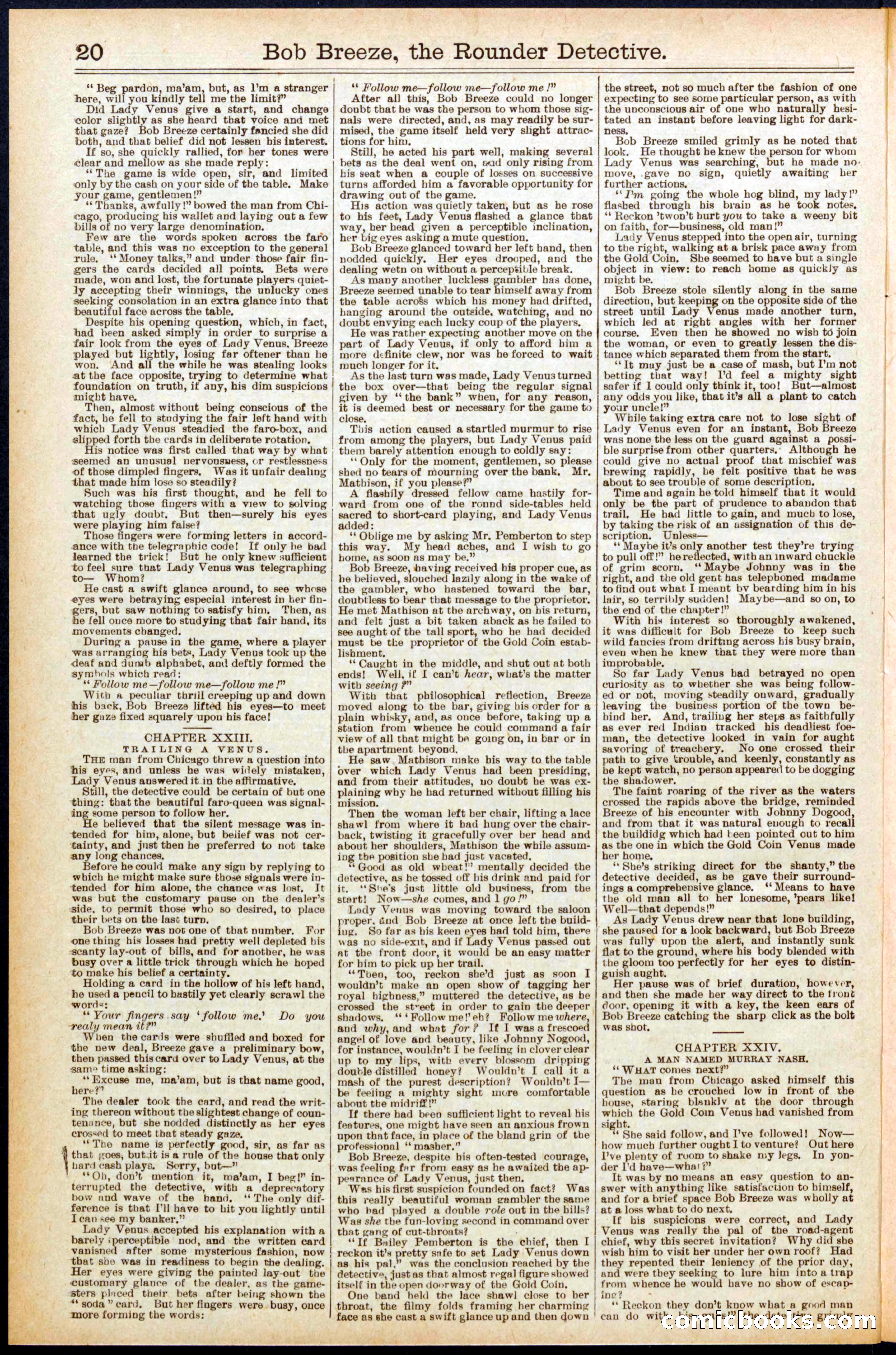 Beadle's Dime Library No. 683 — page 20 of 32