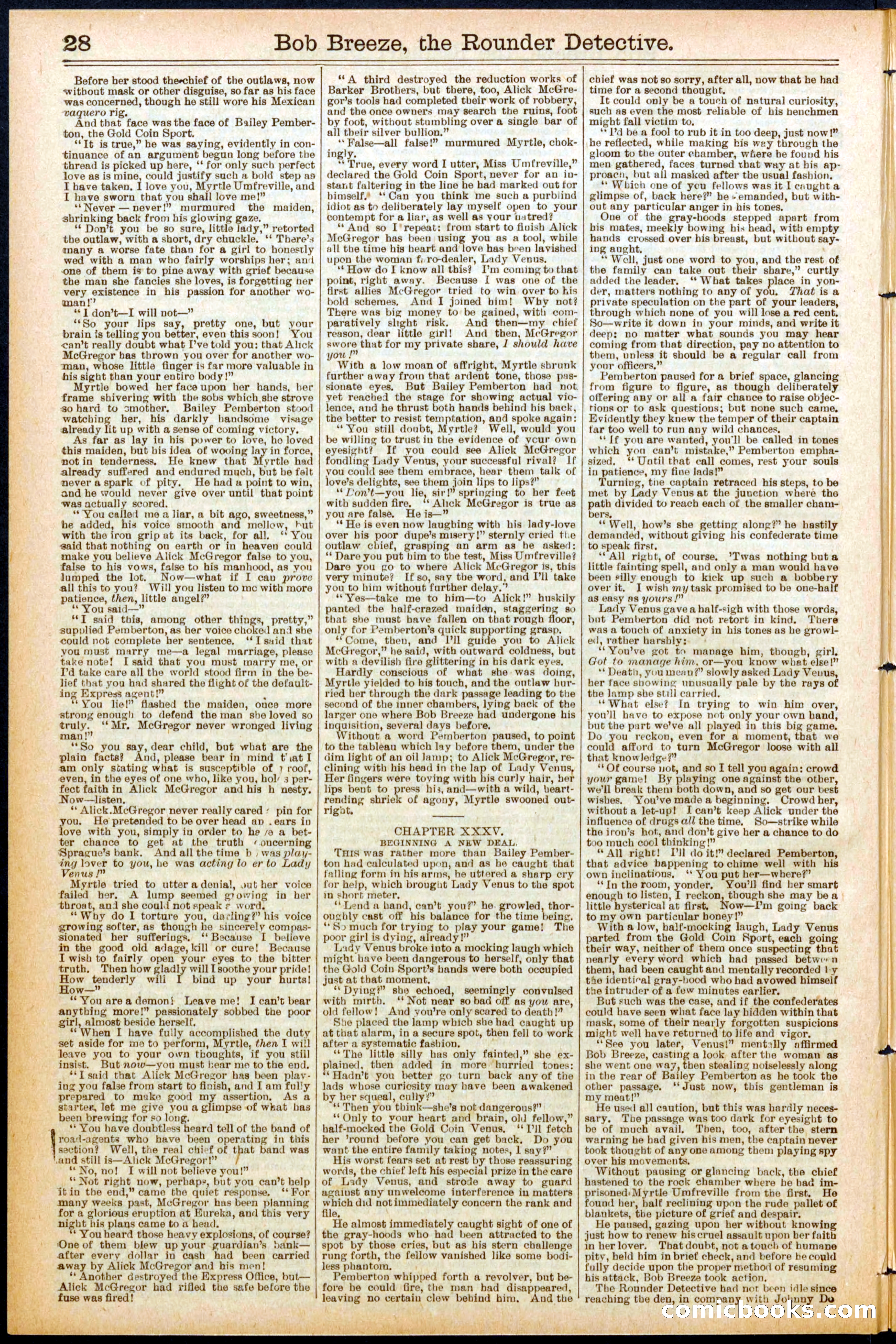 Beadle's Dime Library No. 683 — page 28 of 32