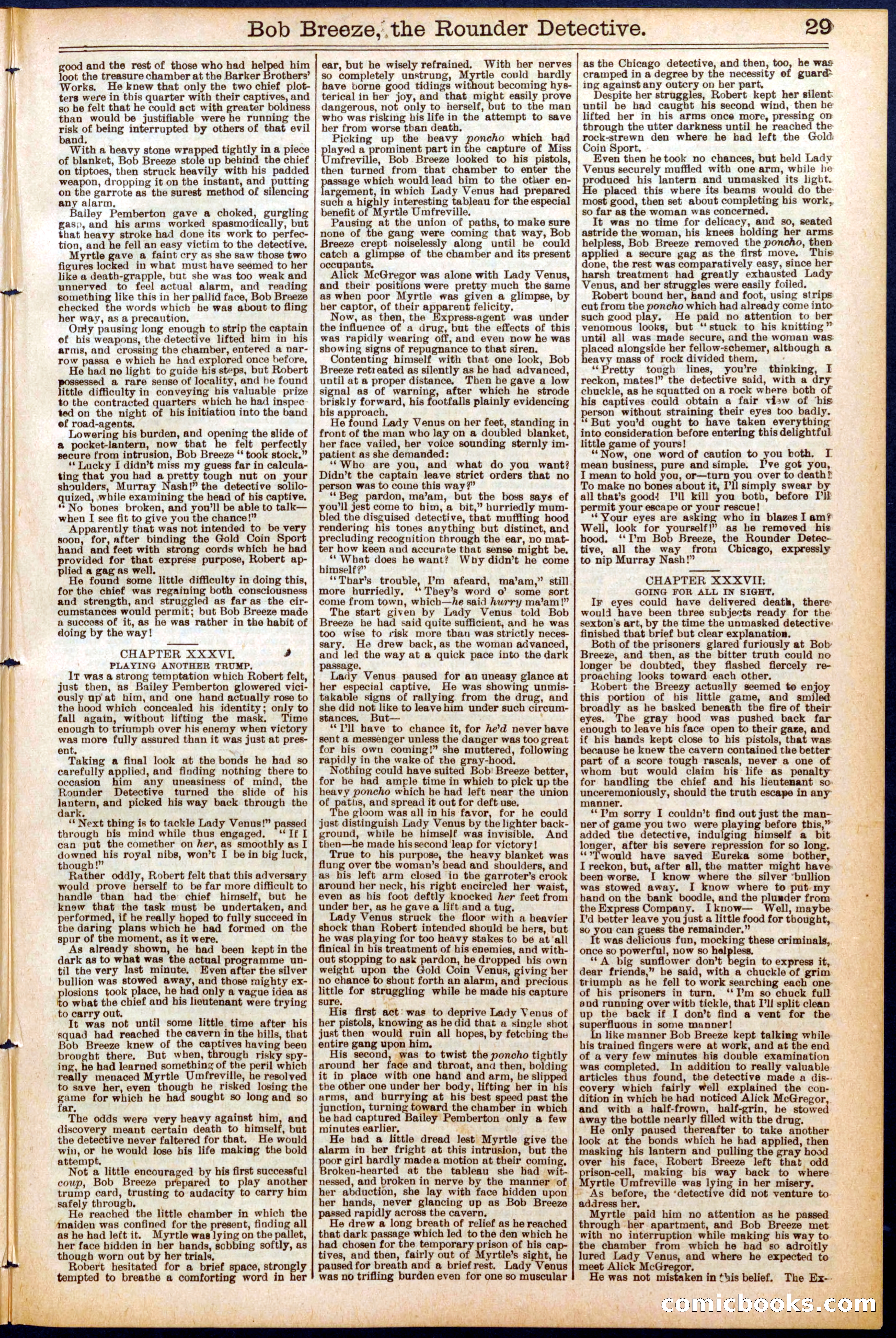 Beadle's Dime Library No. 683 — page 29 of 32