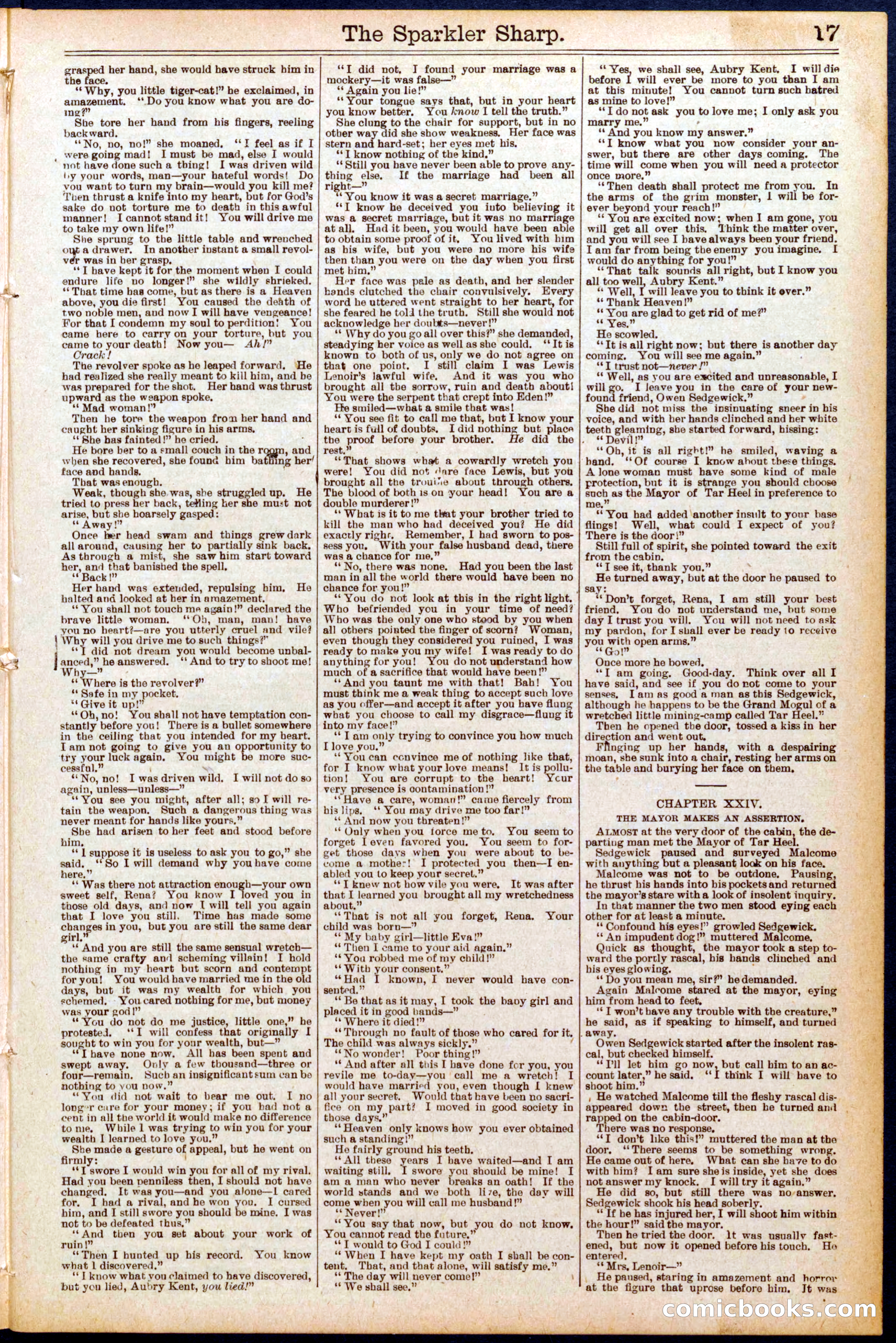 Beadle's Dime Library No. 689 — page 17 of 32