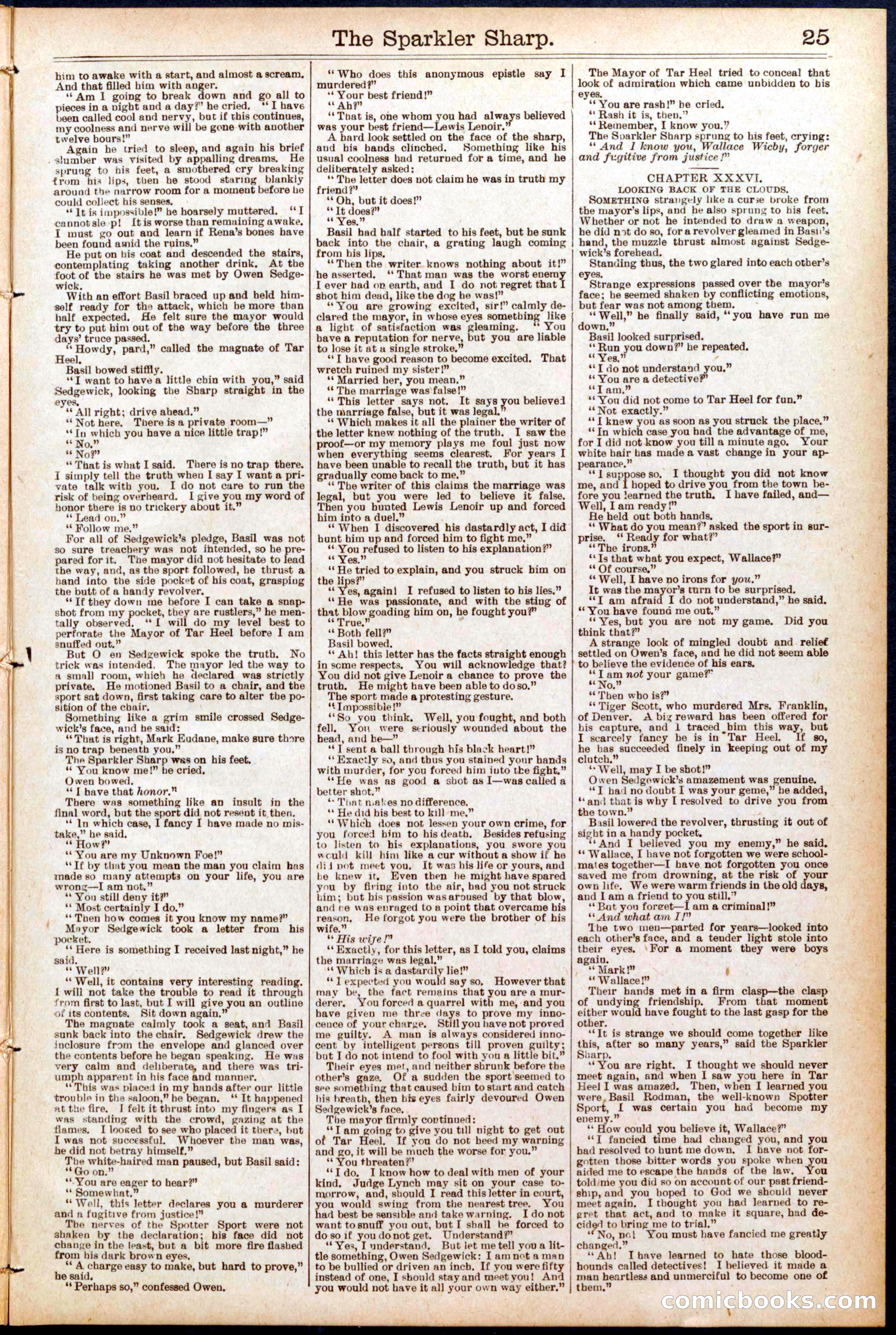 Beadle's Dime Library No. 689 — page 25 of 32