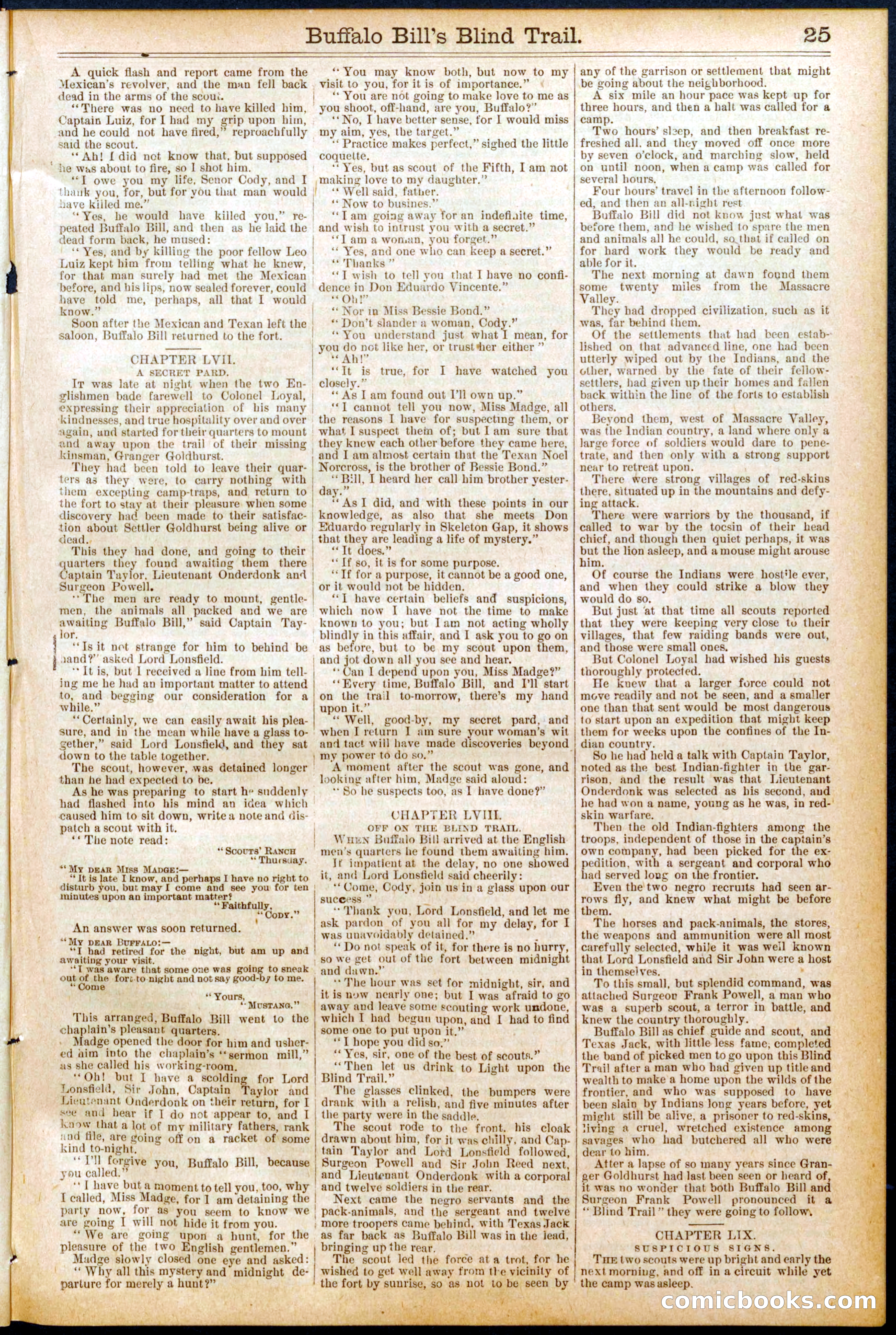 Beadle's Dime Library No. 691 — page 25 of 32