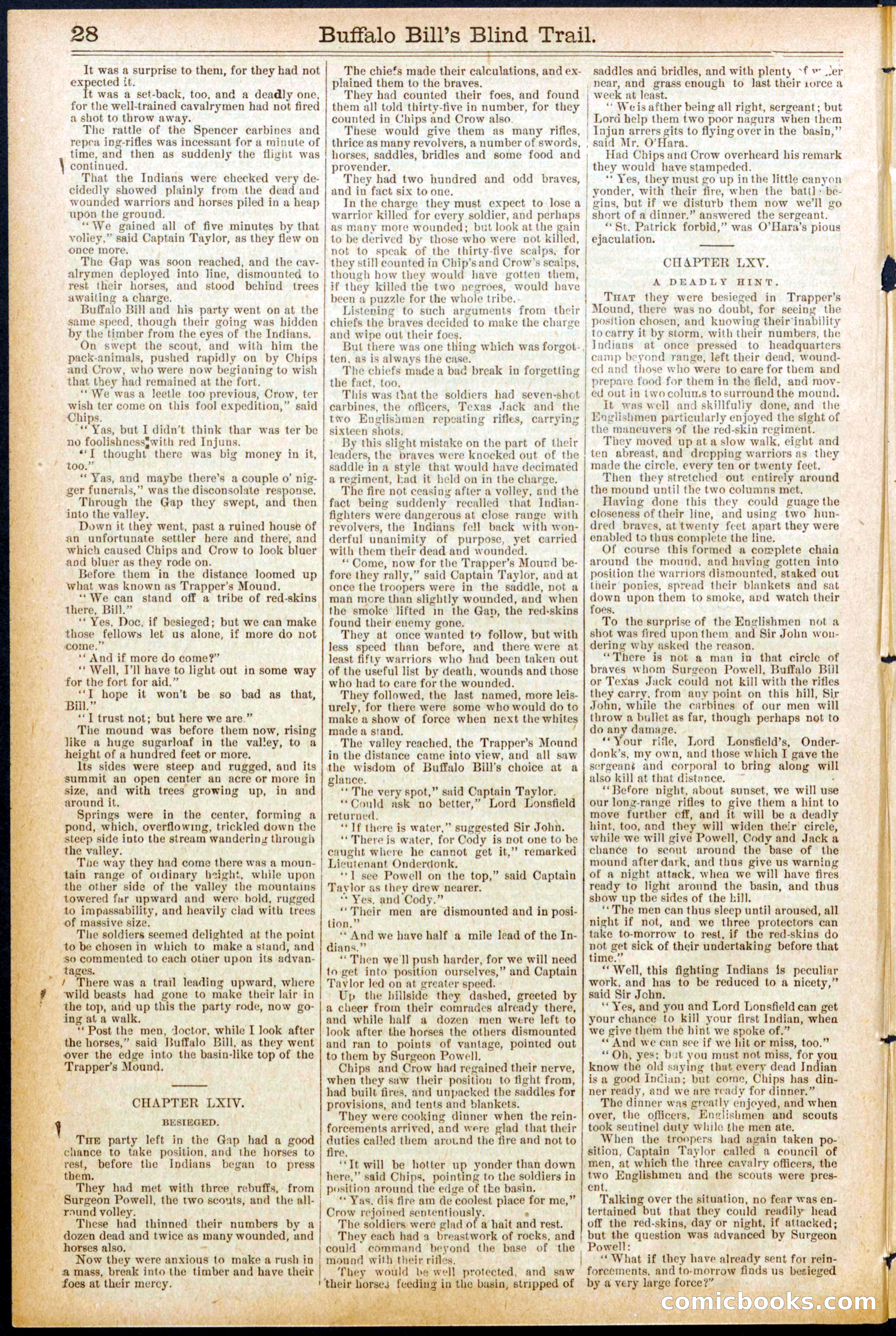 Beadle's Dime Library No. 691 — page 28 of 32