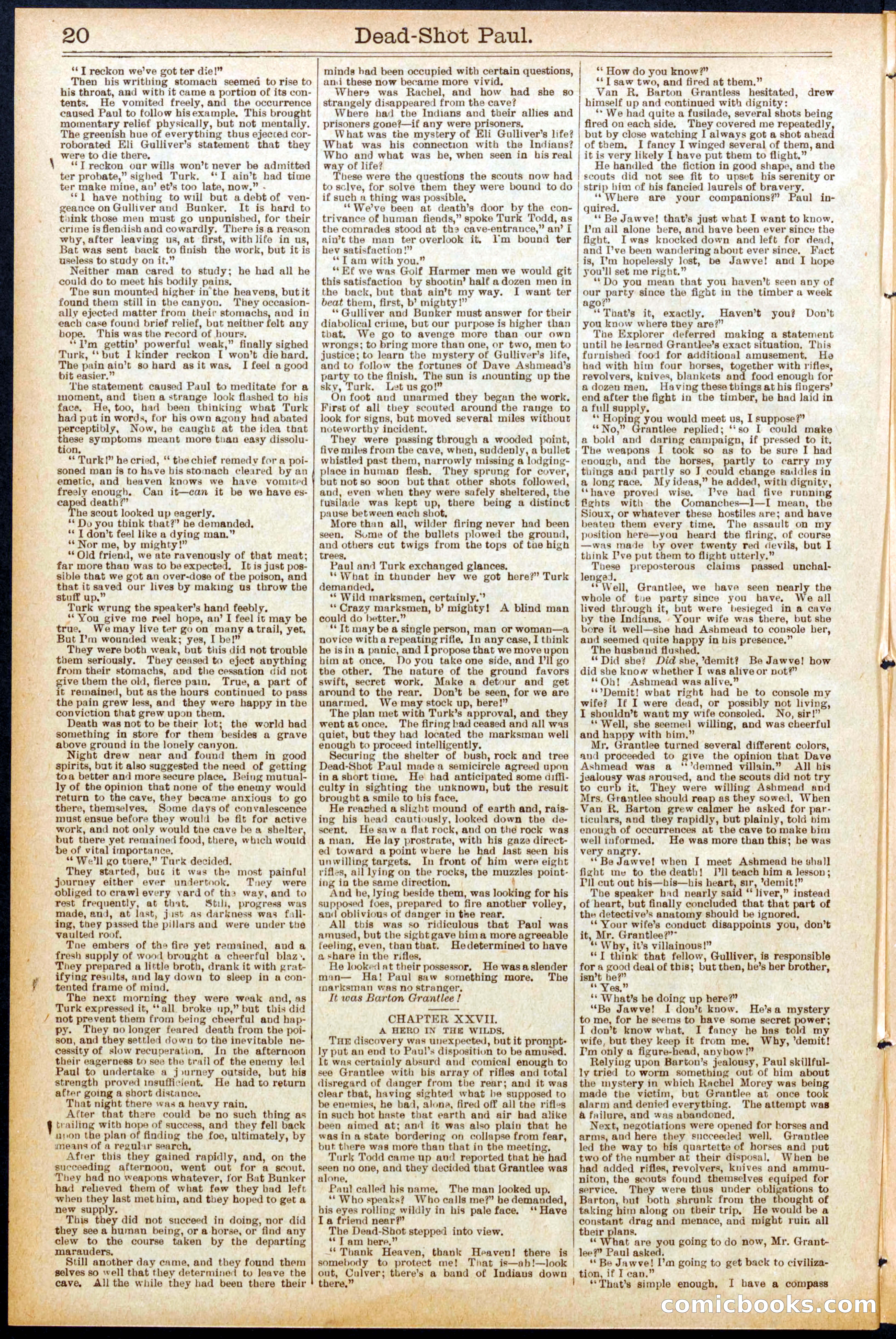Beadle's New York Dime Library No. 692 — page 20 of 32