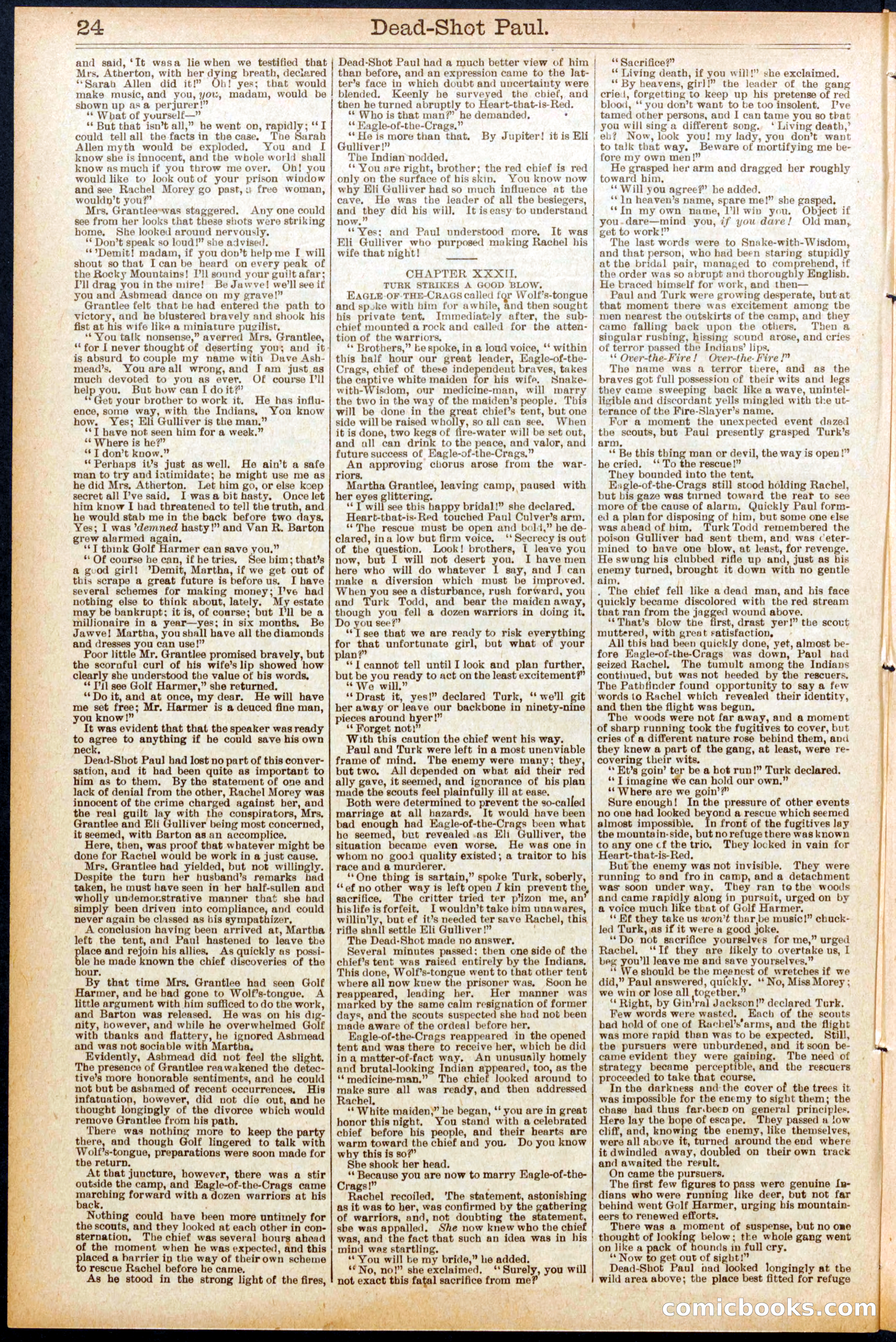 Beadle's New York Dime Library No. 692 — page 24 of 32