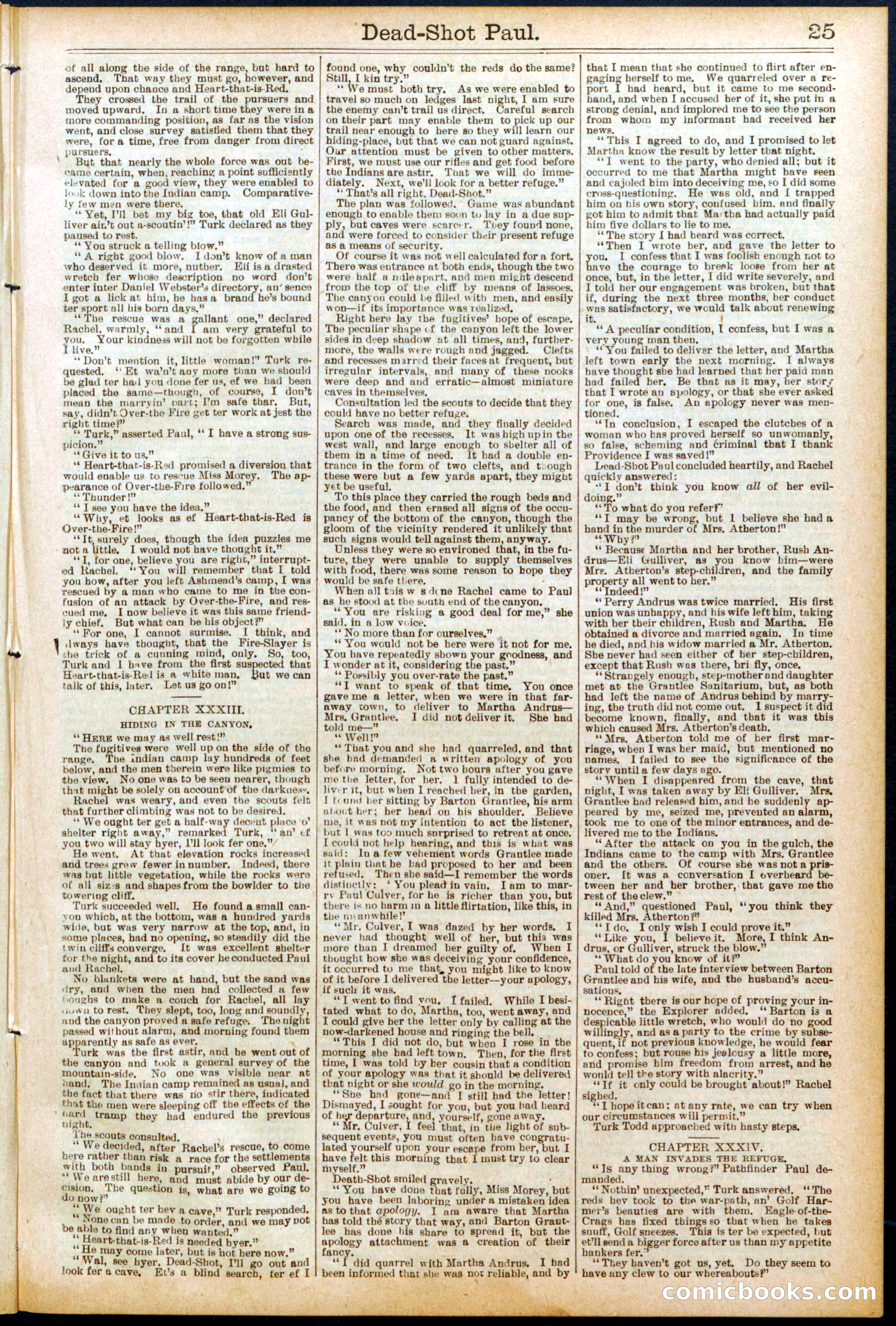 Beadle's New York Dime Library No. 692 — page 25 of 32