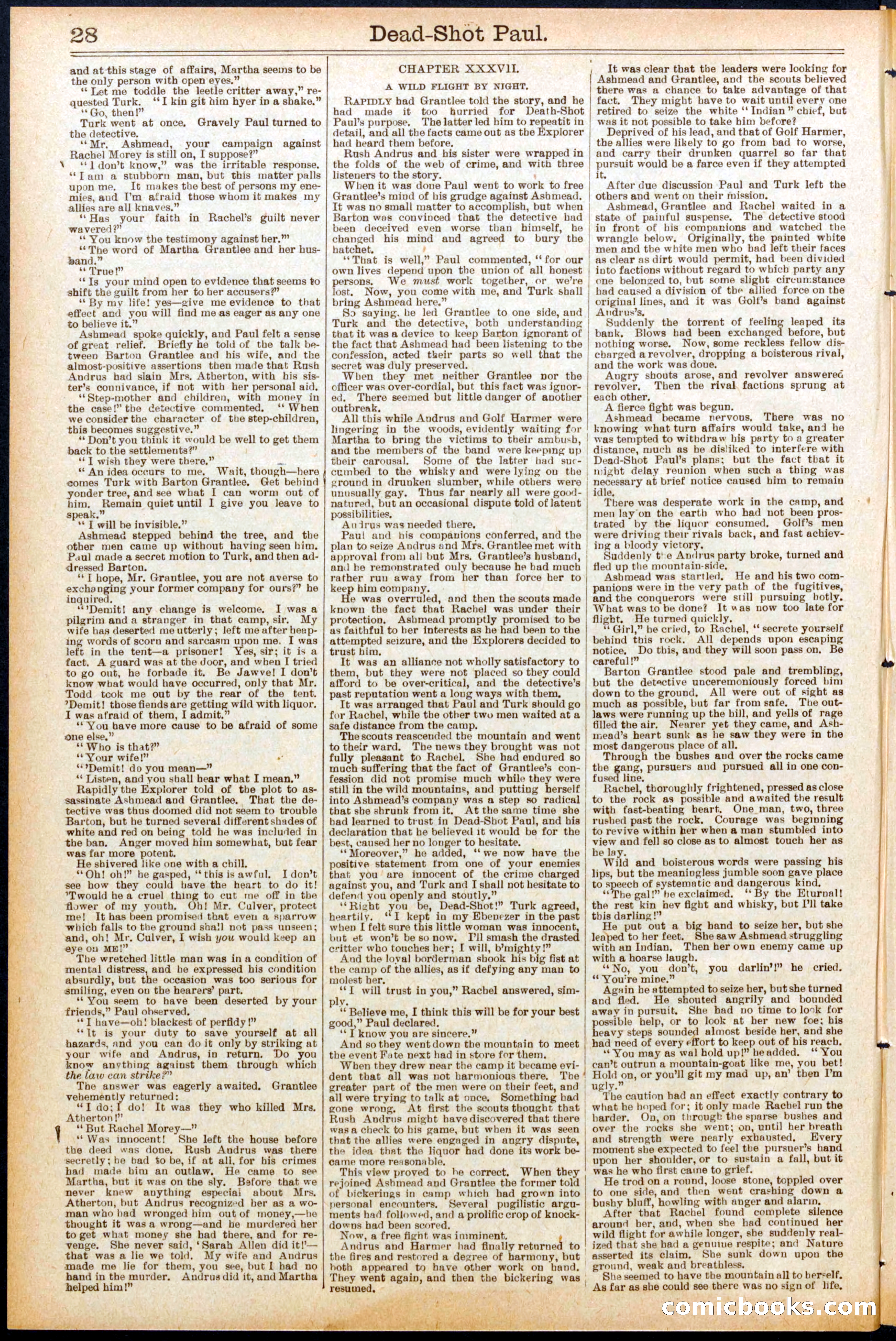 Beadle's New York Dime Library No. 692 — page 28 of 32
