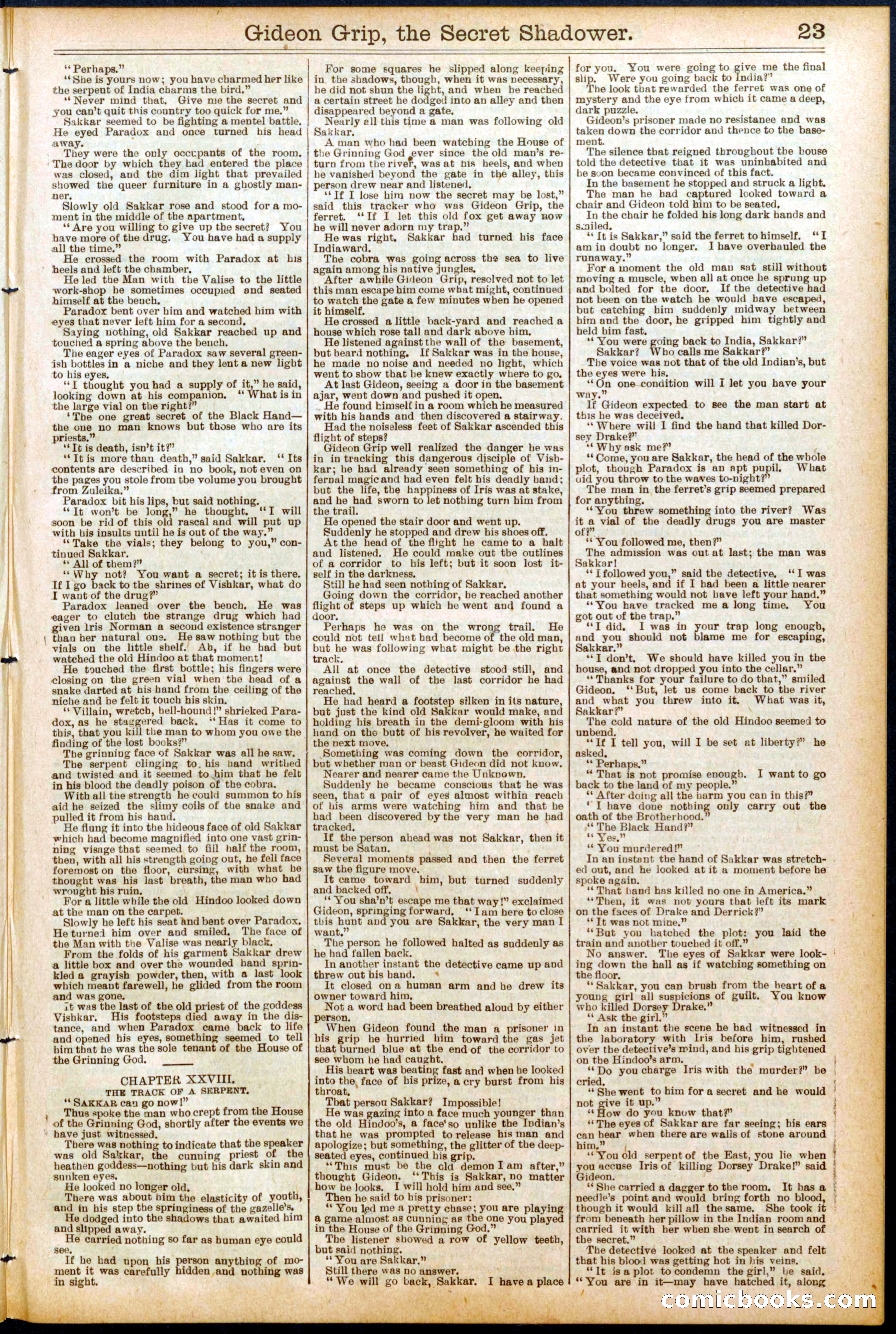 Beadle's Dime Library No. 694 — page 23 of 32