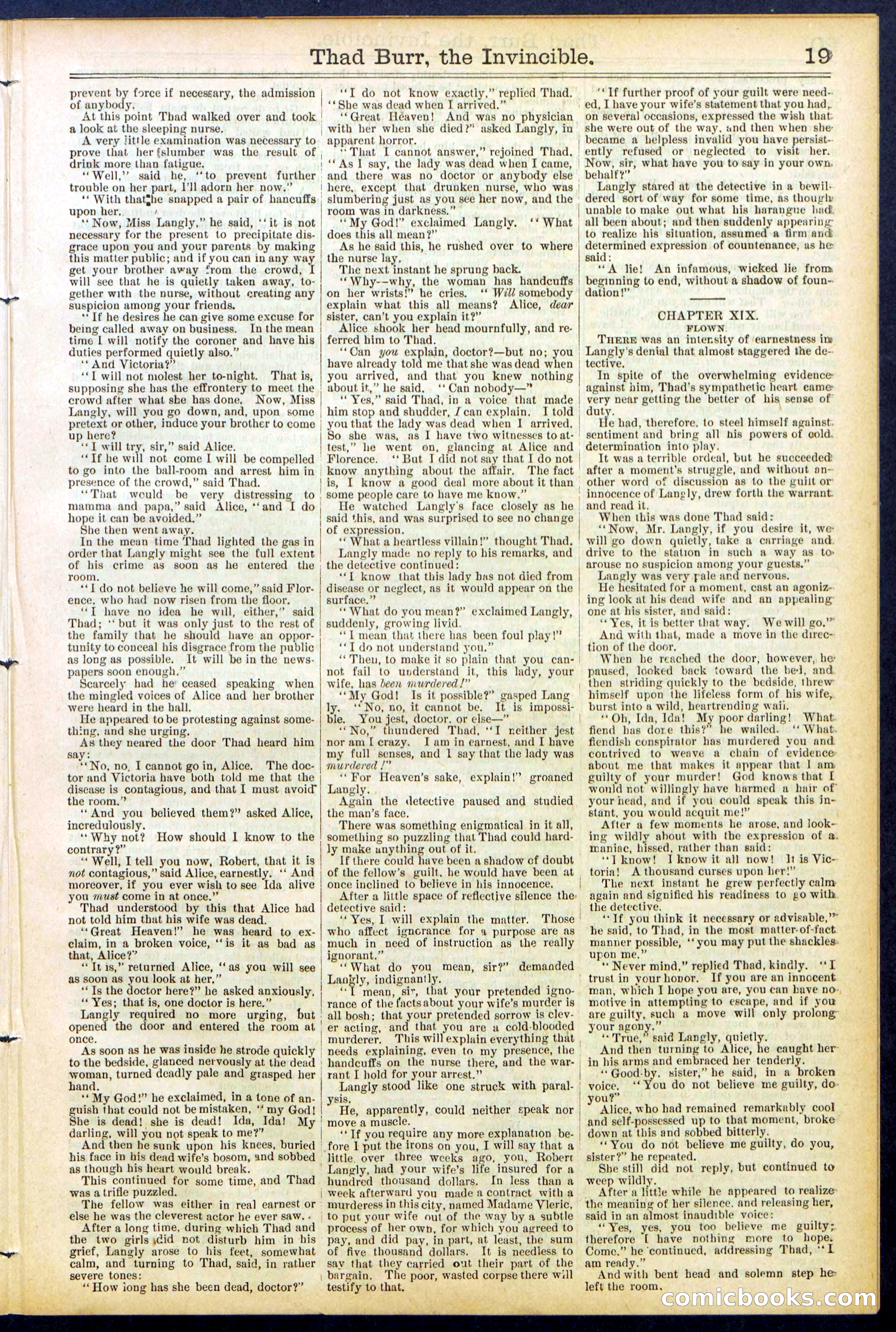 Beadle's Dime Library No. 698 — page 19 of 32