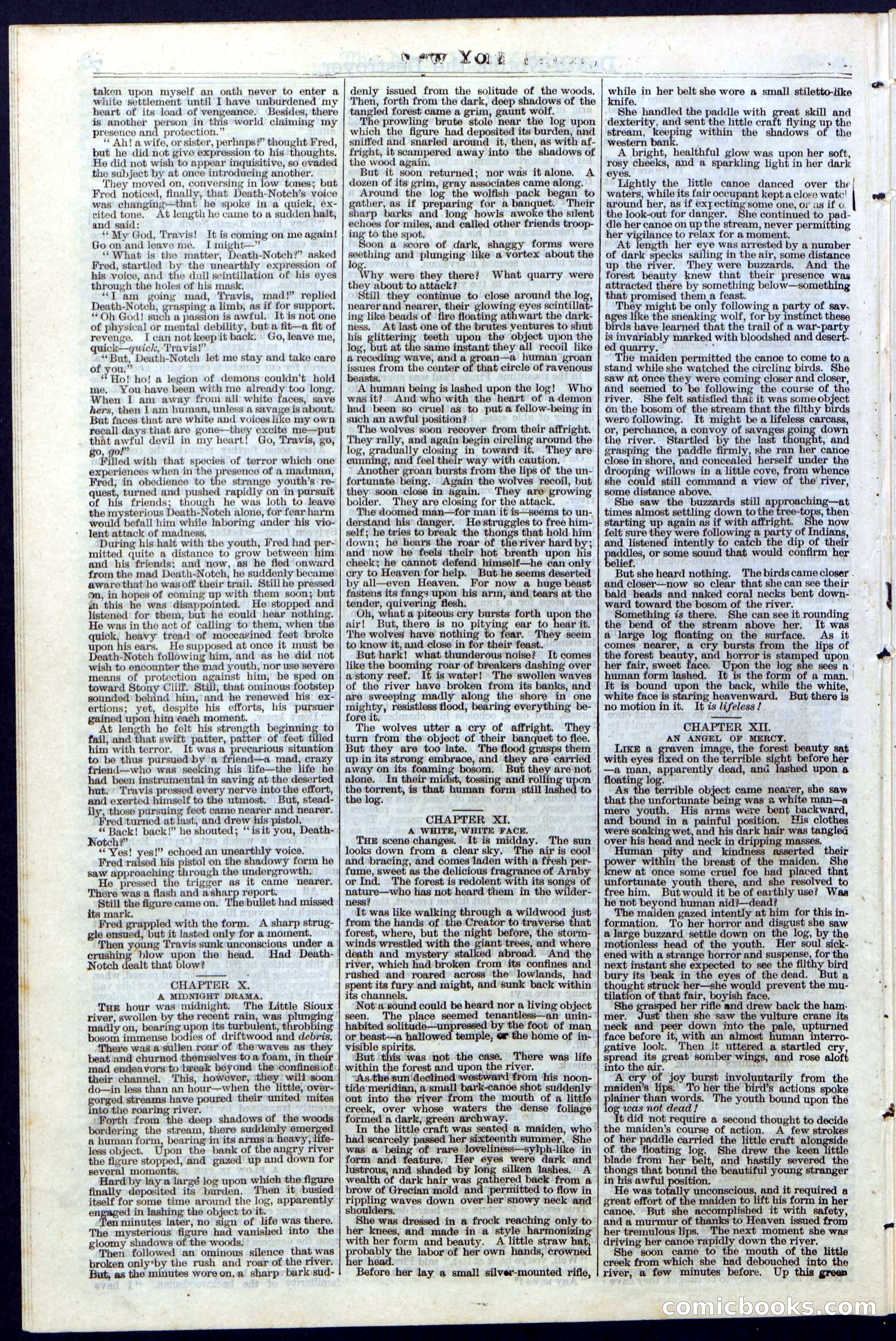 Beadle's New York Dime Library No. 7 — page 8 of 28
