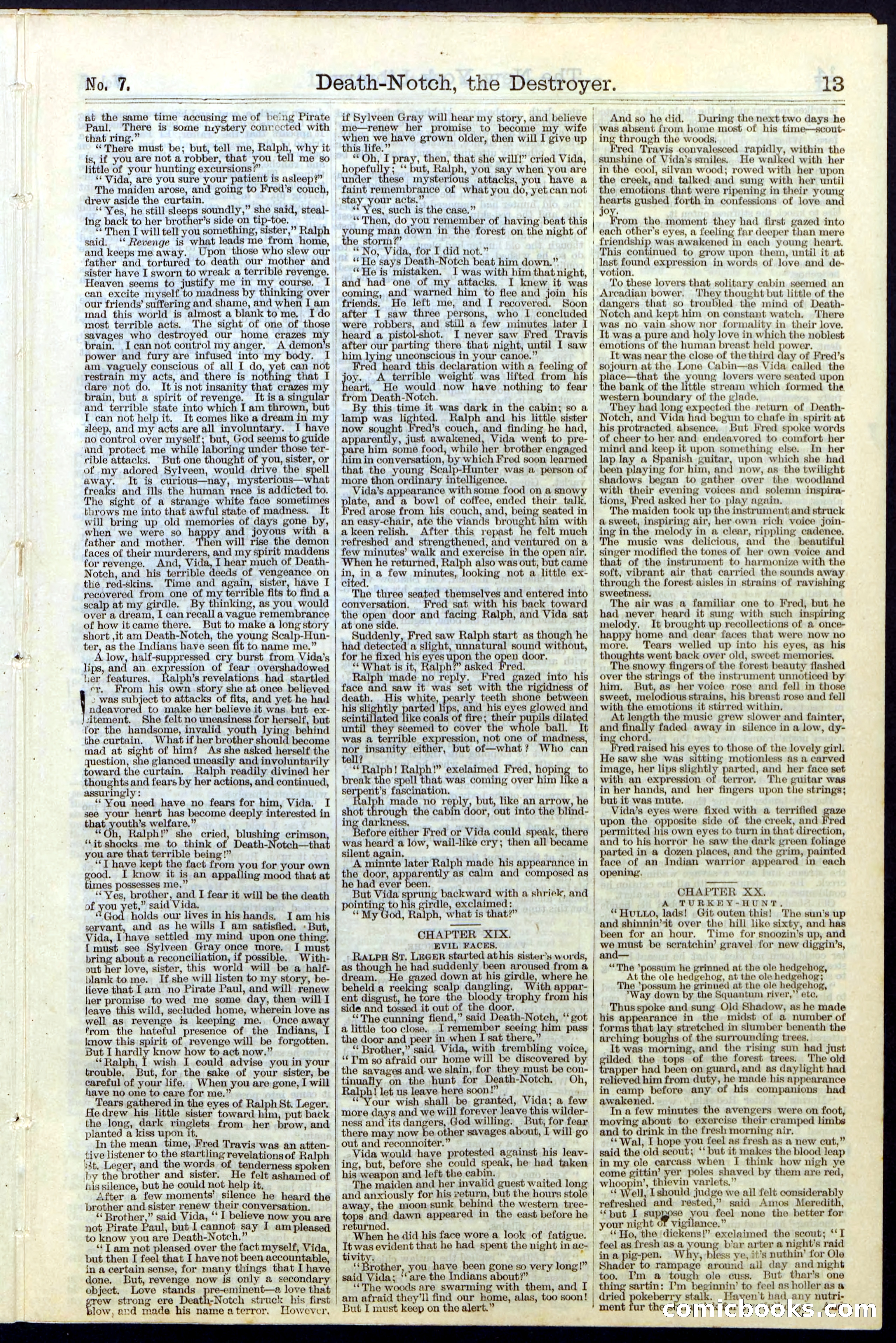 Beadle's New York Dime Library No. 7 — page 13 of 28