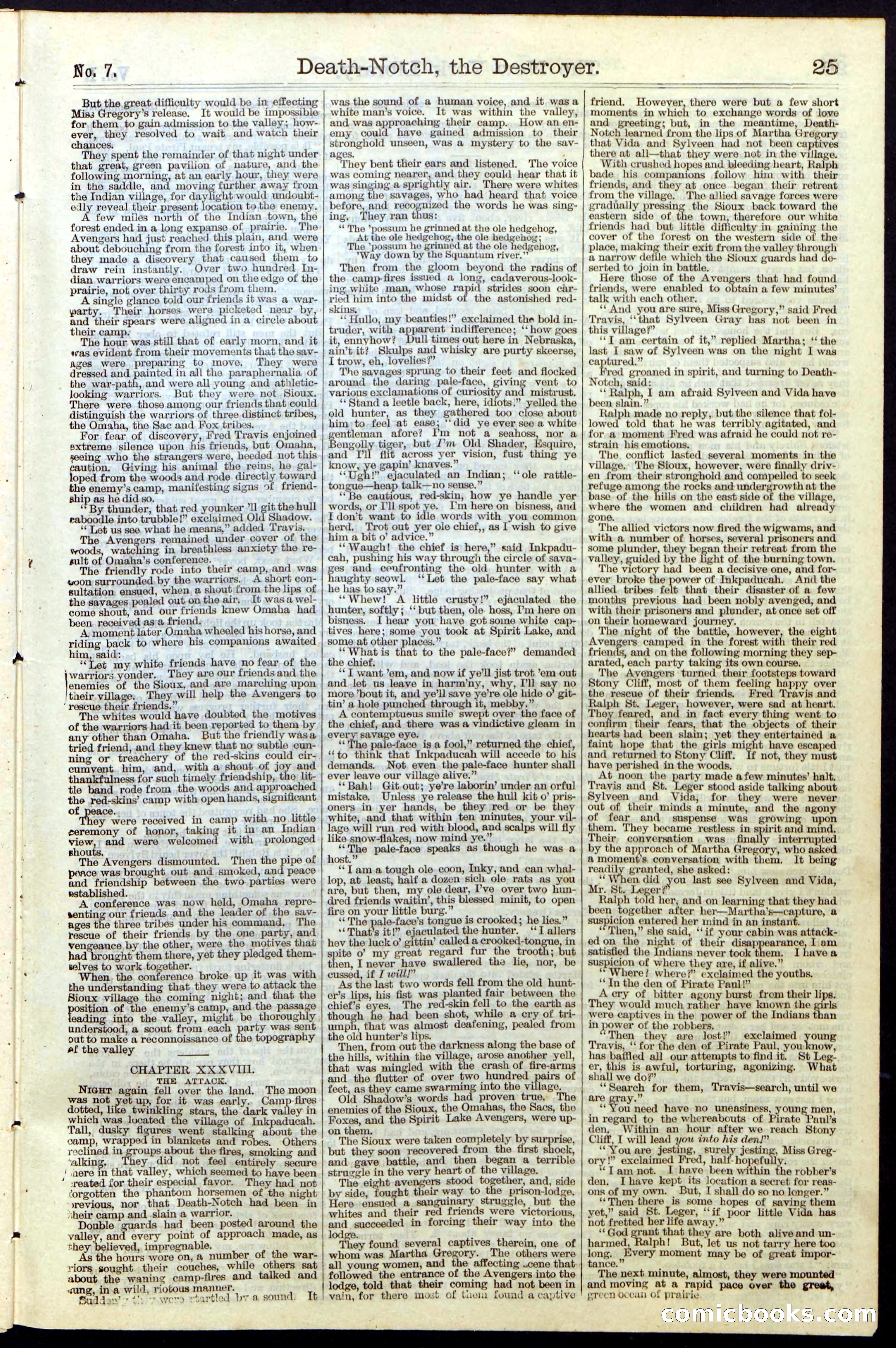 Beadle's New York Dime Library No. 7 — page 25 of 28