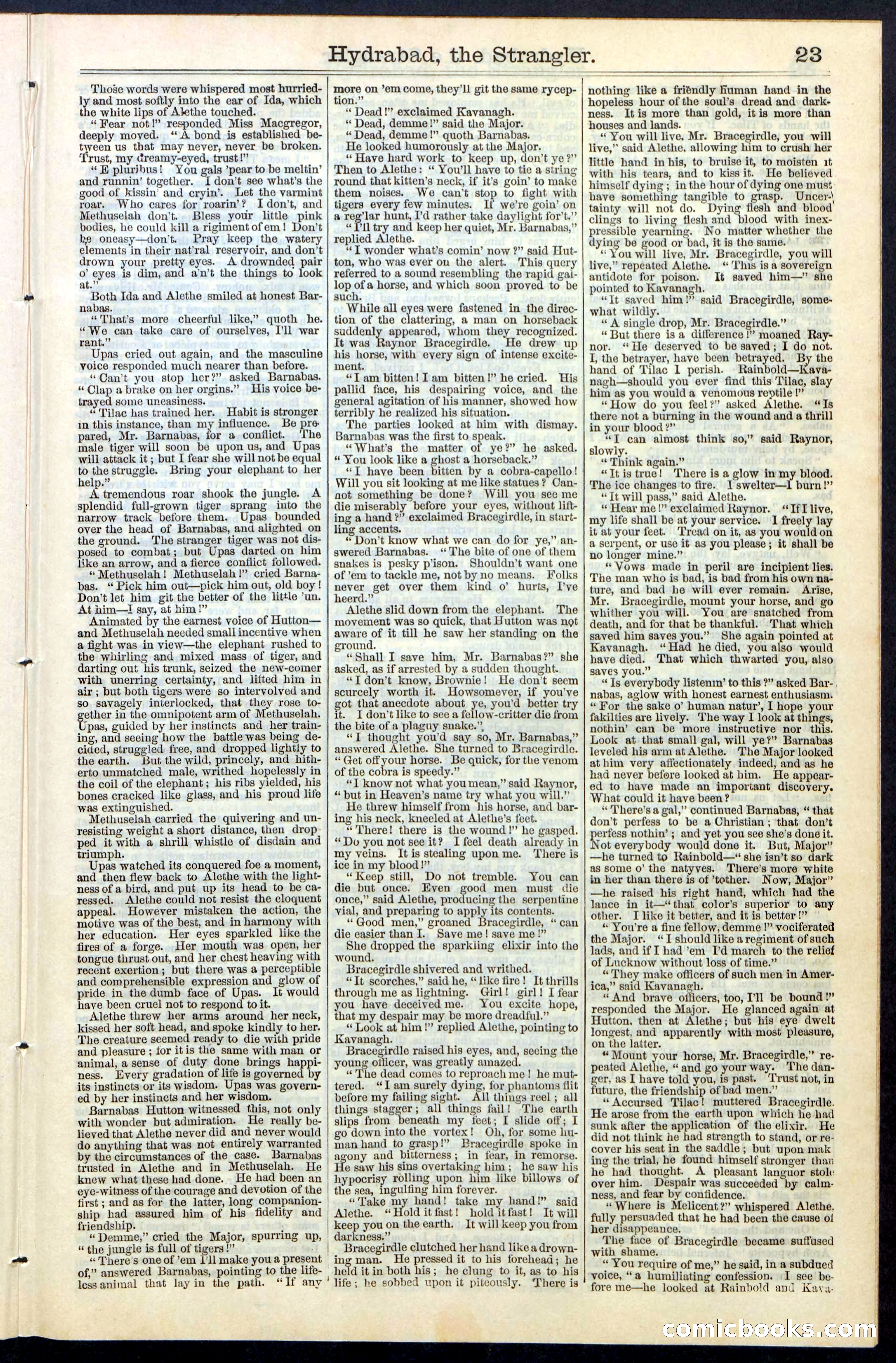 Beadle's New York Dime Library, No. 70 — page 23 of 32