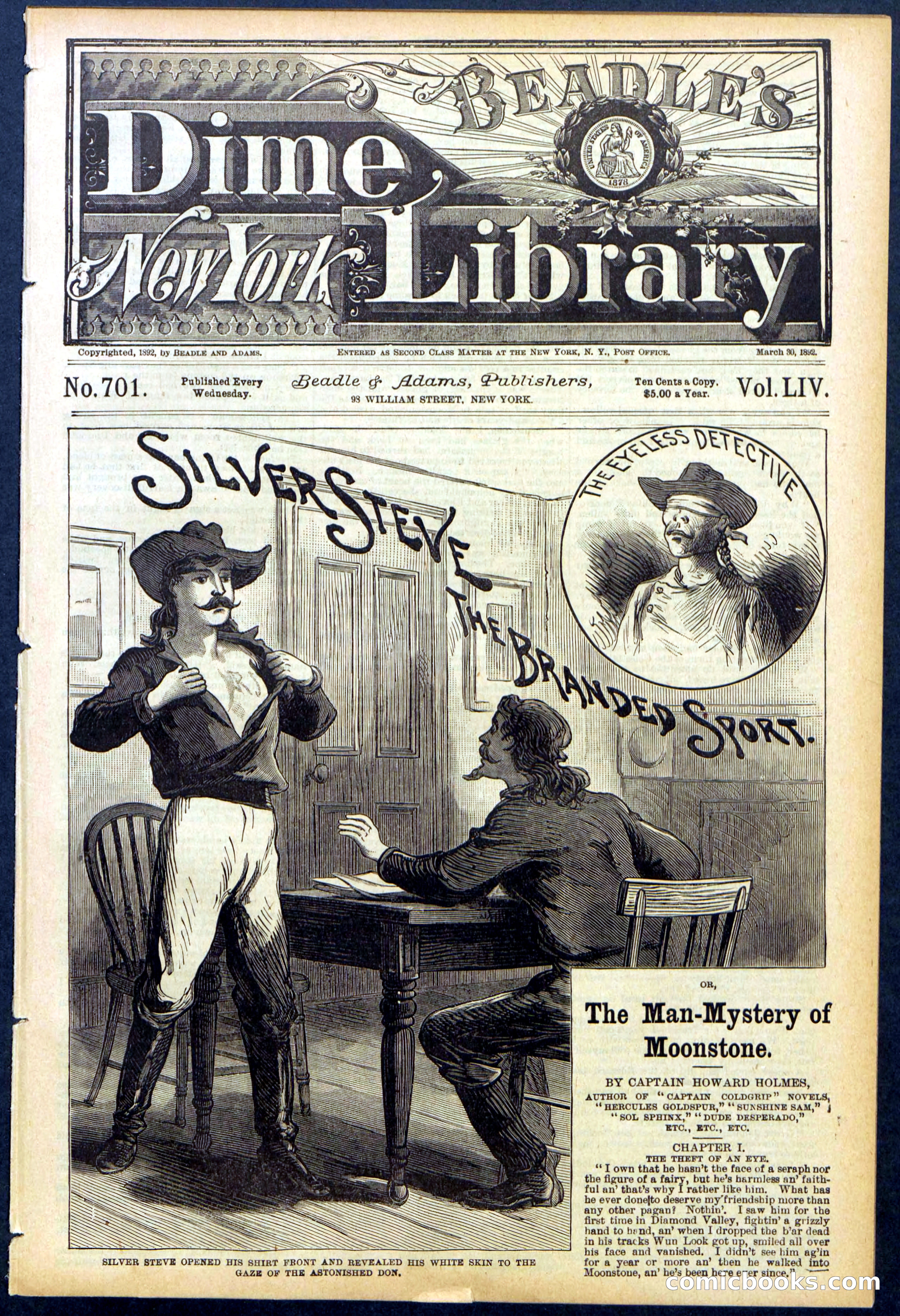 Beadle's New York Dime Library No. 701 — page 1 of 32