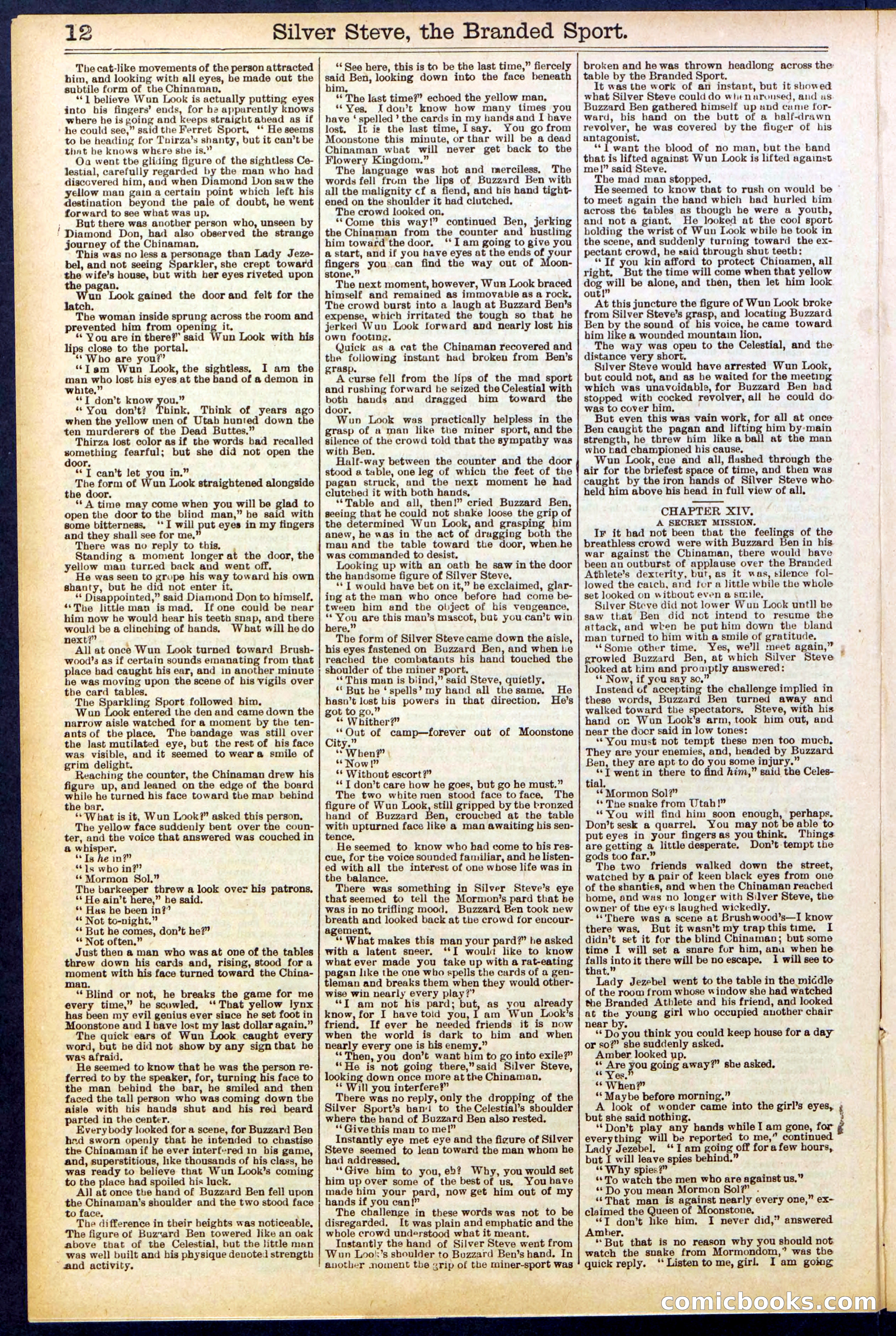 Beadle's New York Dime Library No. 701 — page 12 of 32